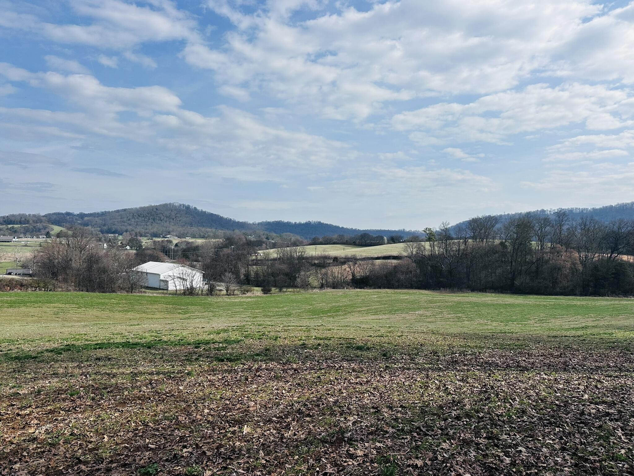 Lot 0 Seahorn Road Jefferson City, TN 37760 - Photo 14 of 27 IMG_1977