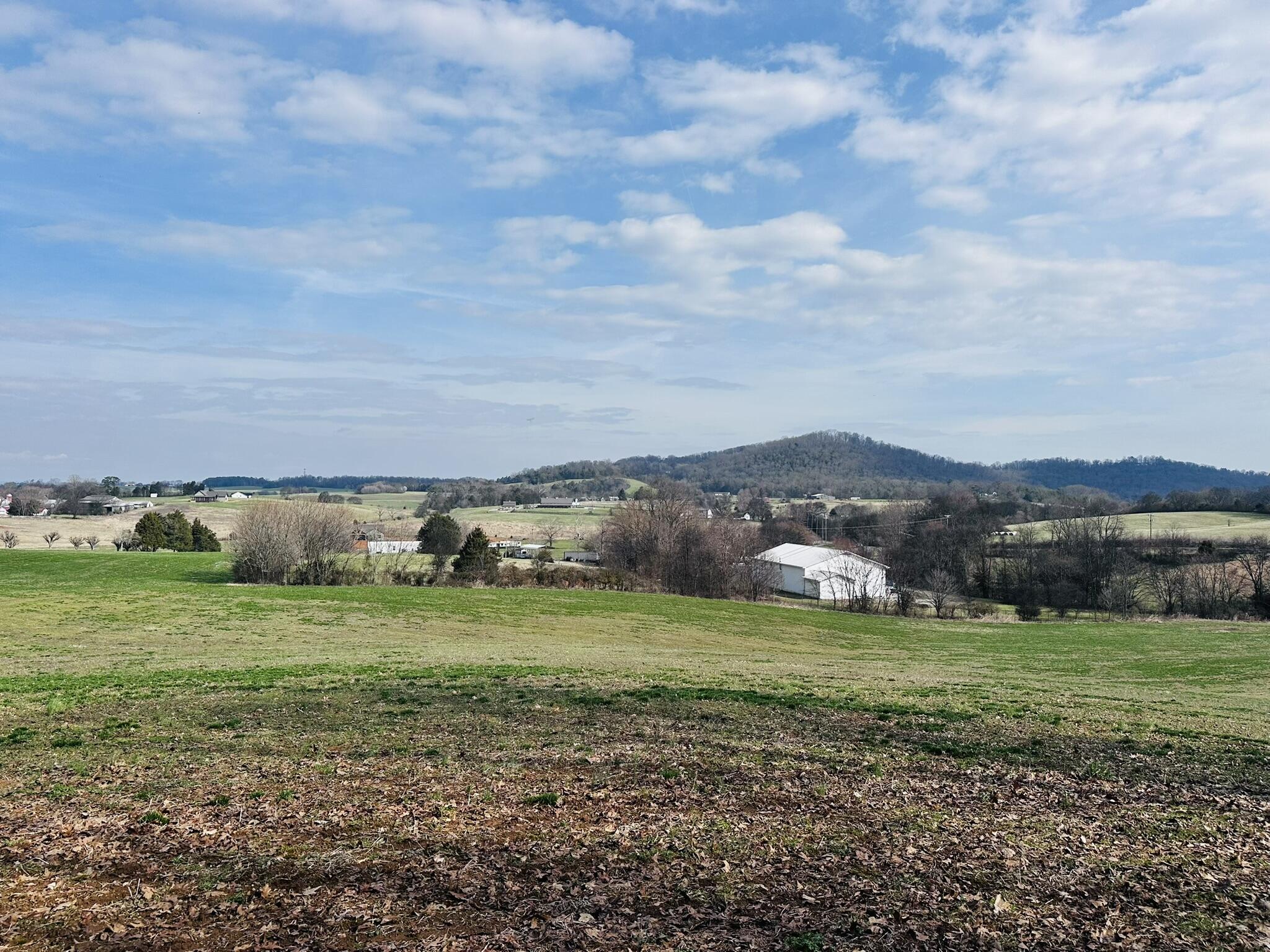 Lot 0 Seahorn Road Jefferson City, TN 37760 - Photo 15 of 27 IMG_1979
