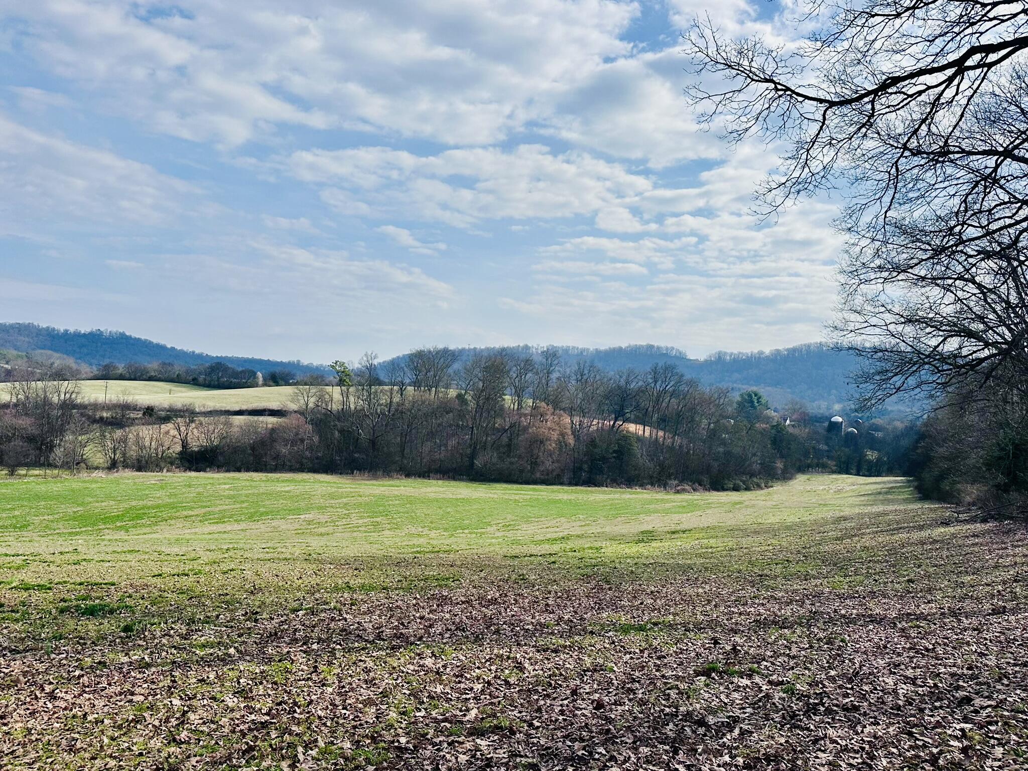 Lot 0 Seahorn Road Jefferson City, TN 37760 - Photo 17 of 27 IMG_1981
