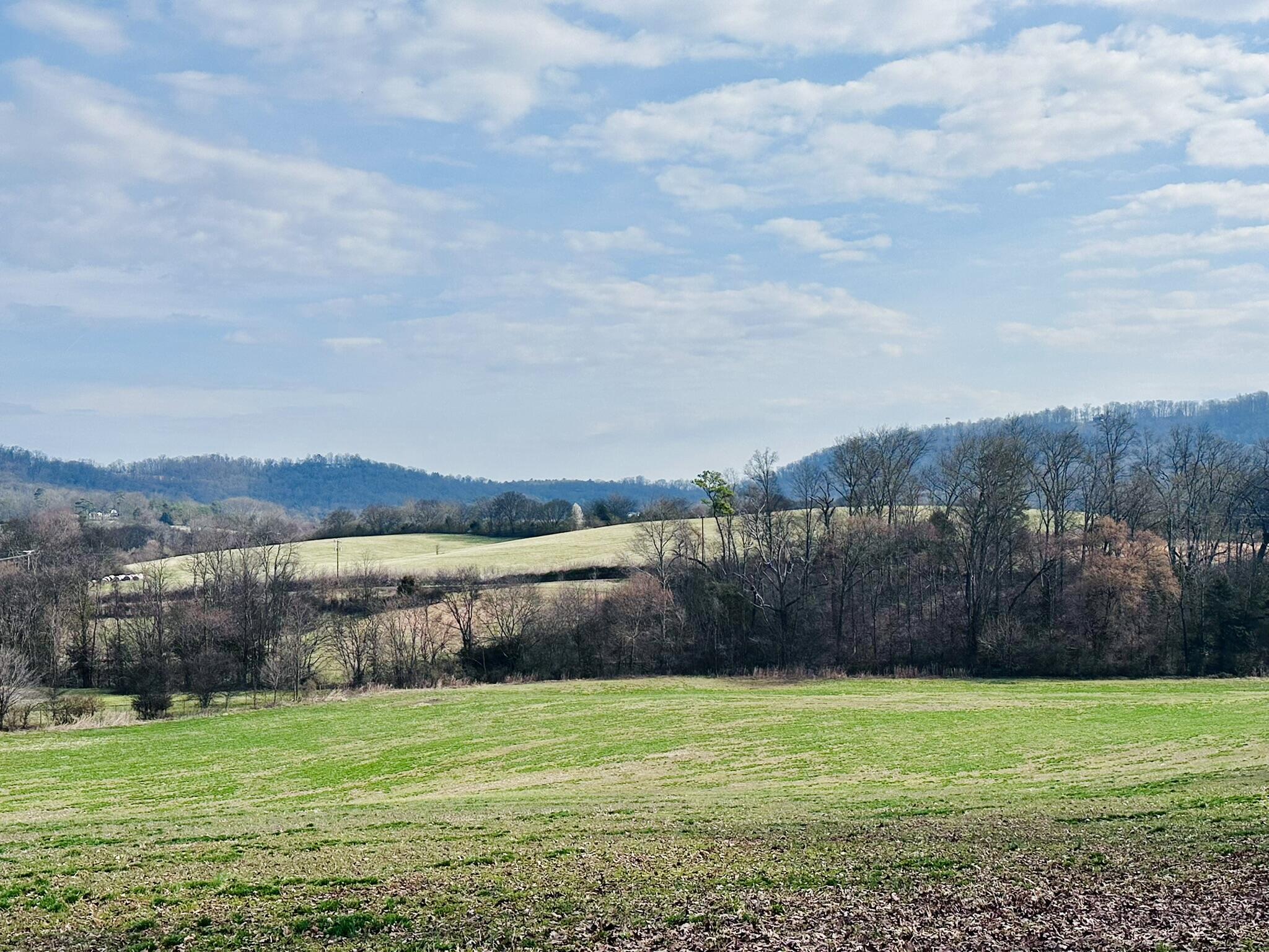 Lot 0 Seahorn Road Jefferson City, TN 37760 - Photo 19 of 27 IMG_1983