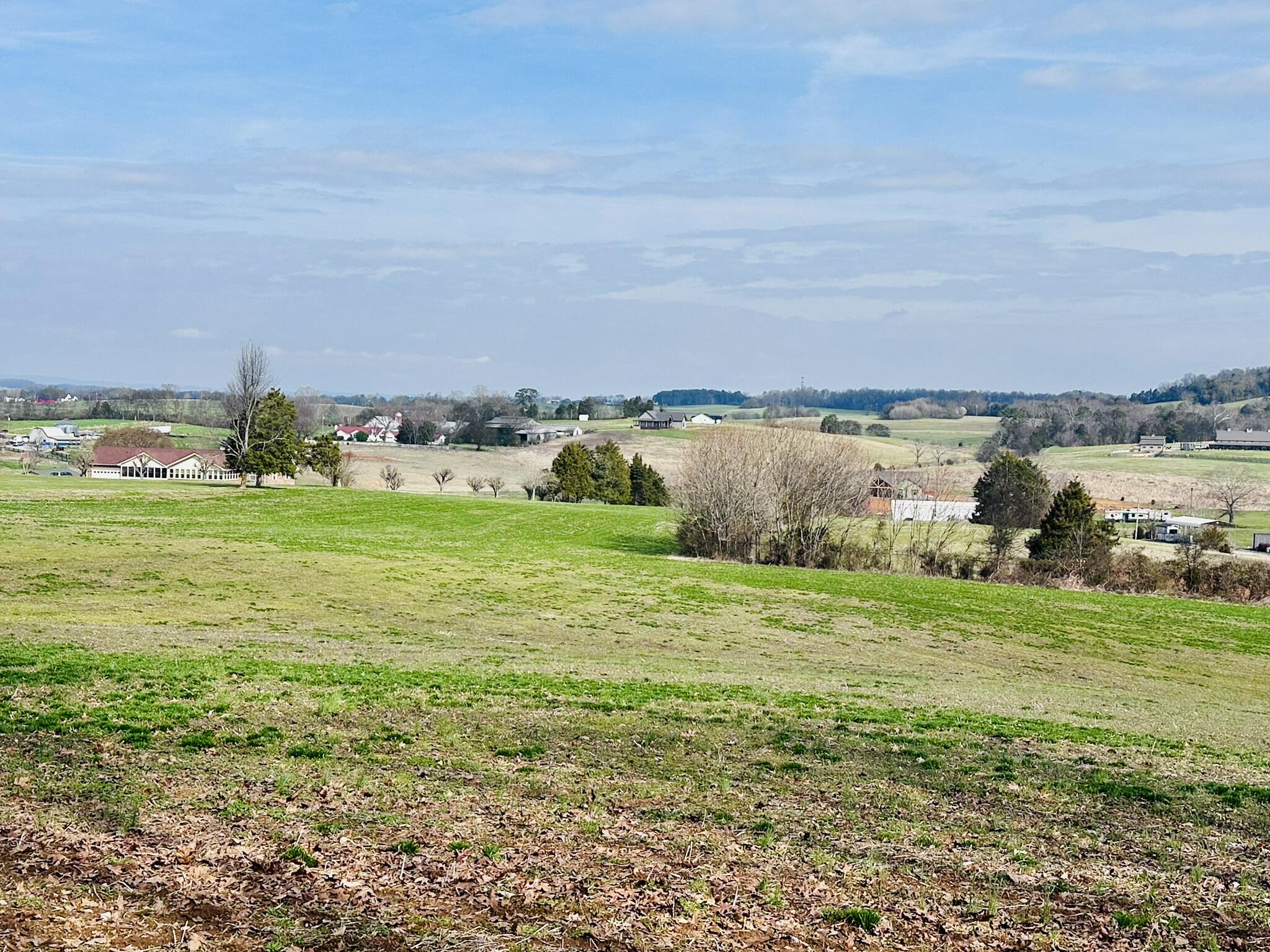 Lot 0 Seahorn Road Jefferson City, TN 37760 - Photo 20 of 27 IMG_1984