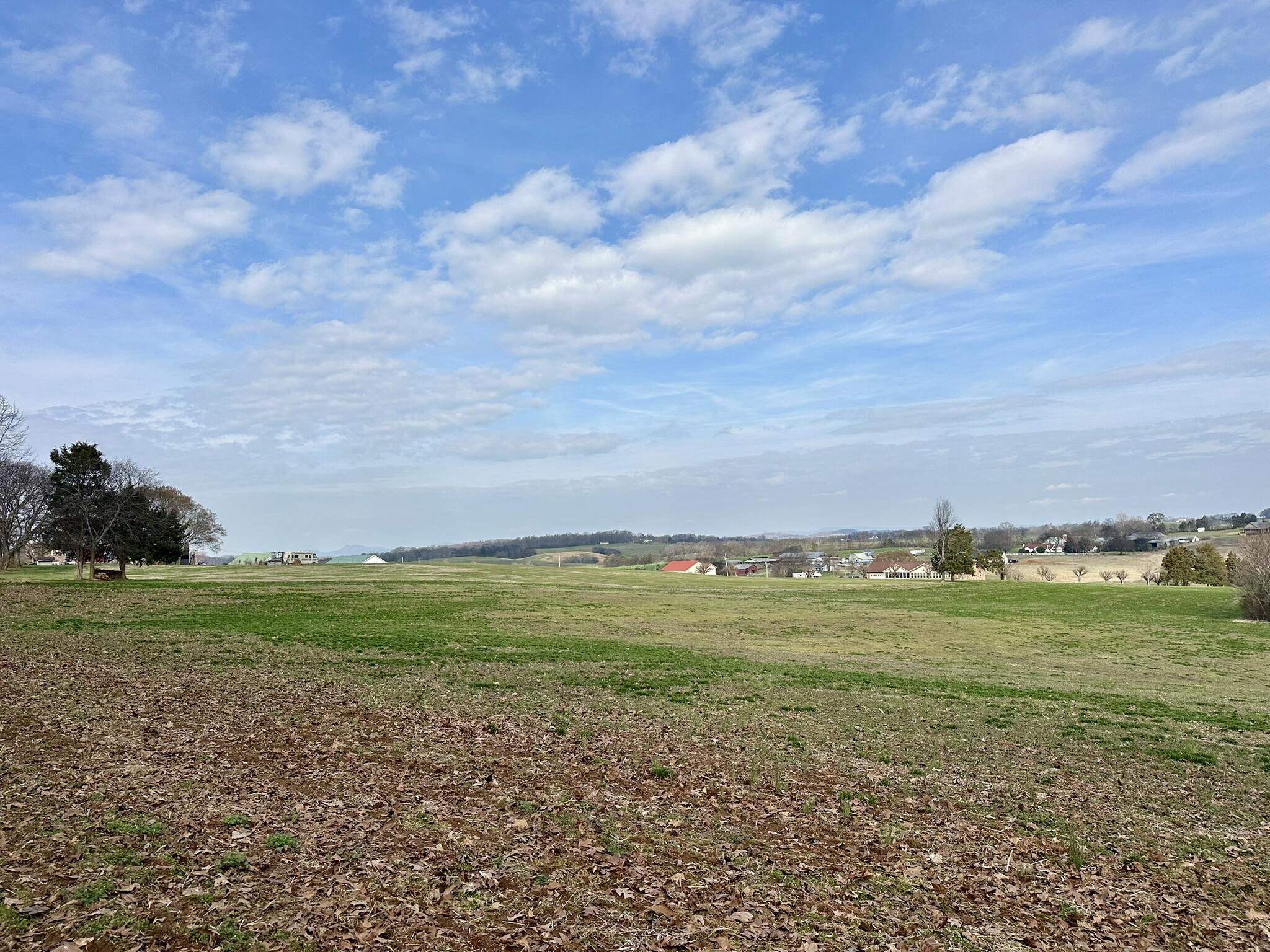 Lot 0 Seahorn Road Jefferson City, TN 37760 - Photo 21 of 27 IMG_1985