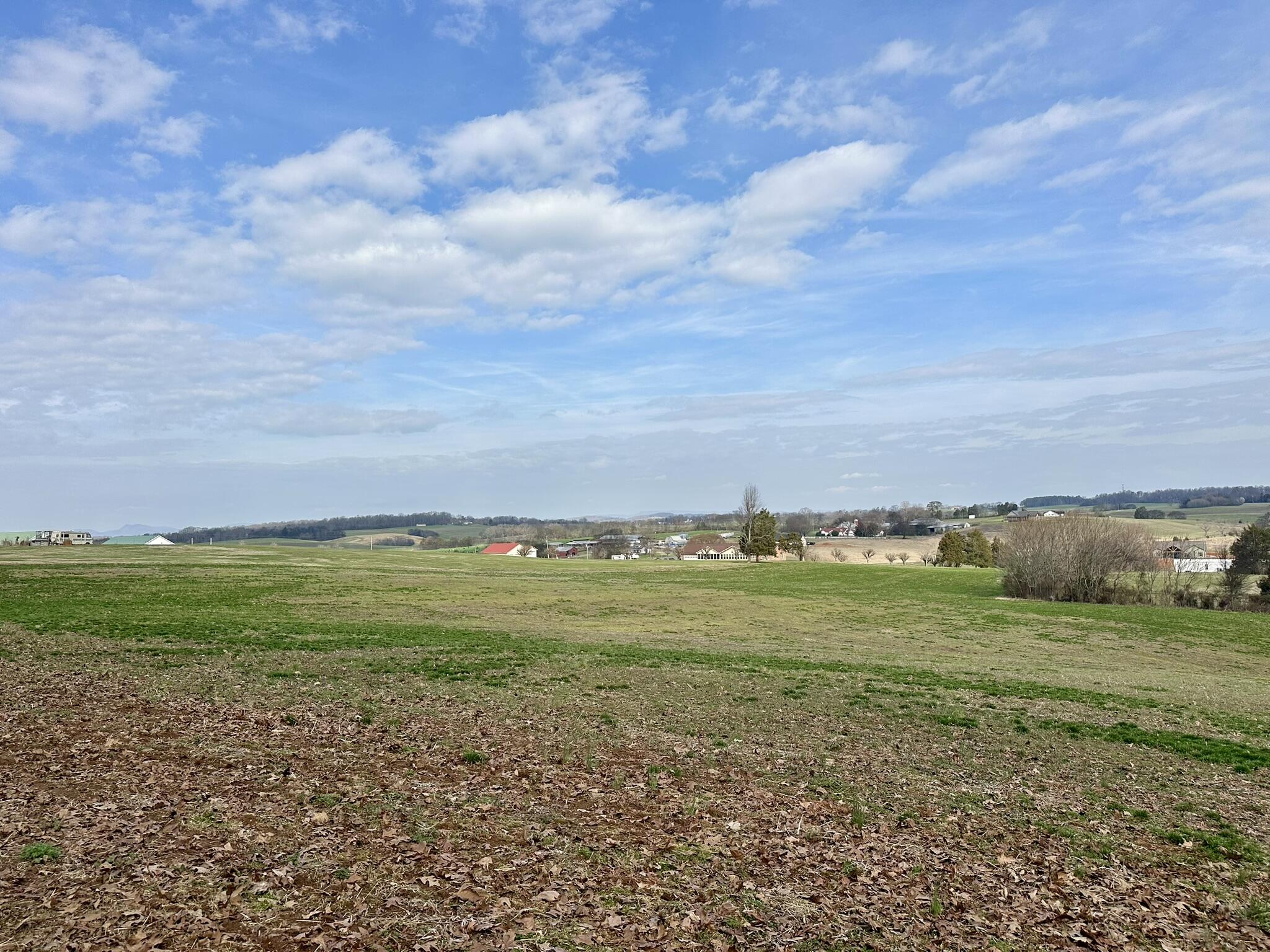 Lot 0 Seahorn Road Jefferson City, TN 37760 - Photo 22 of 27 IMG_1986