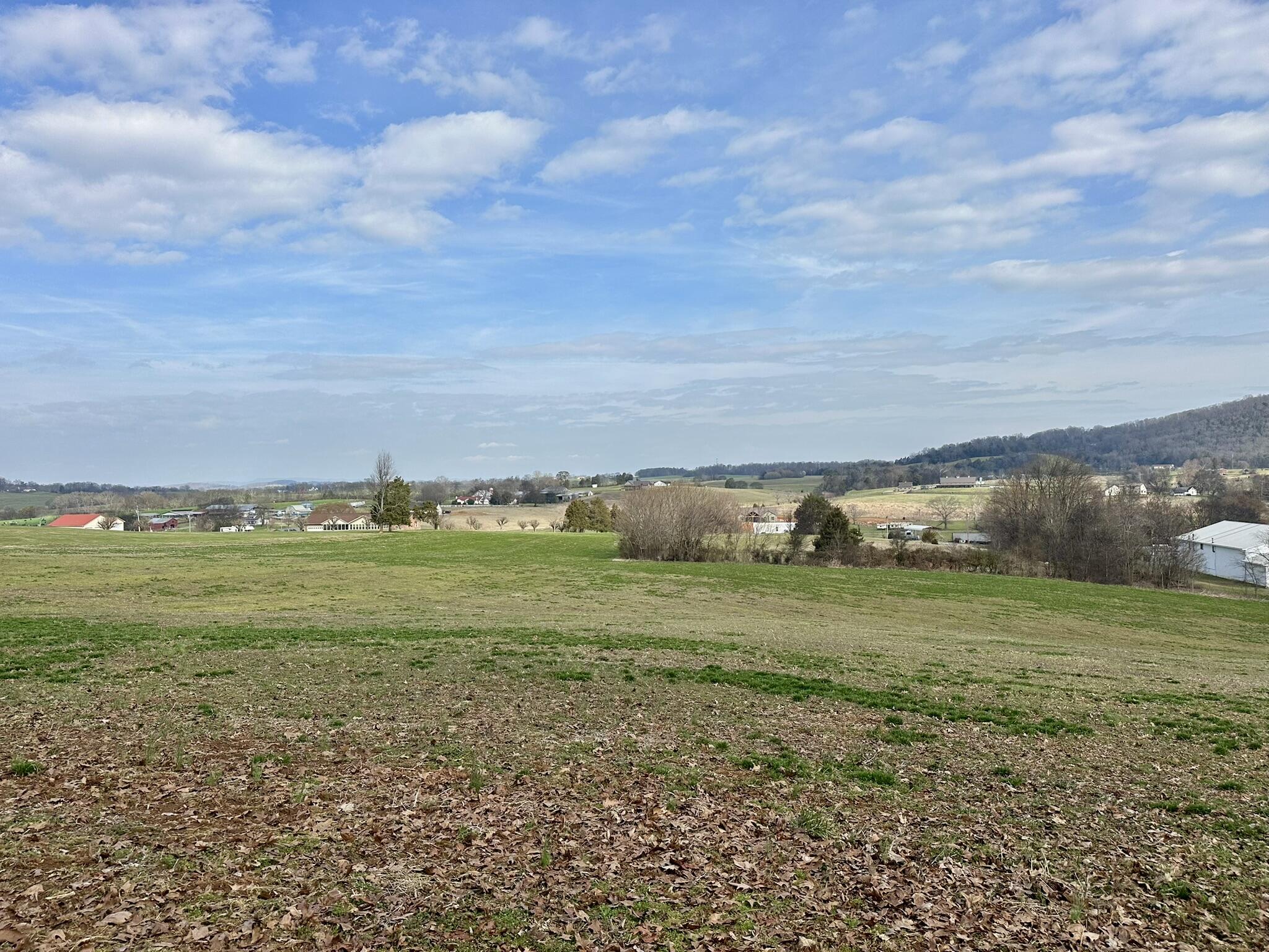 Lot 0 Seahorn Road Jefferson City, TN 37760 - Photo 23 of 27 IMG_1987