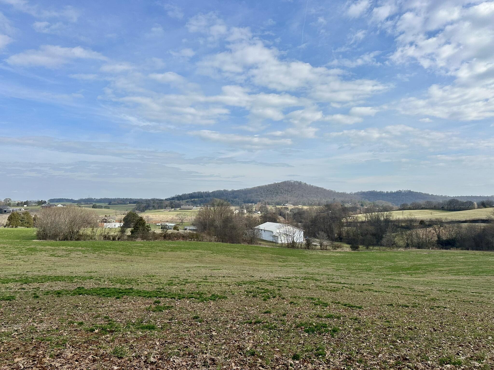 Lot 0 Seahorn Road Jefferson City, TN 37760 - Photo 24 of 27 IMG_1988