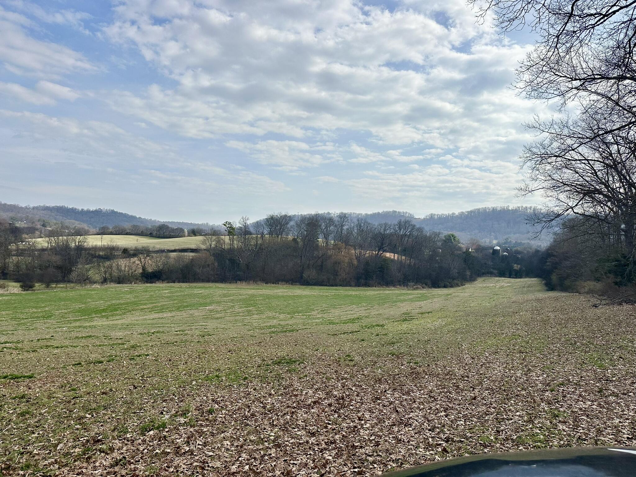 Lot 0 Seahorn Road Jefferson City, TN 37760 - Photo 25 of 27 IMG_1991