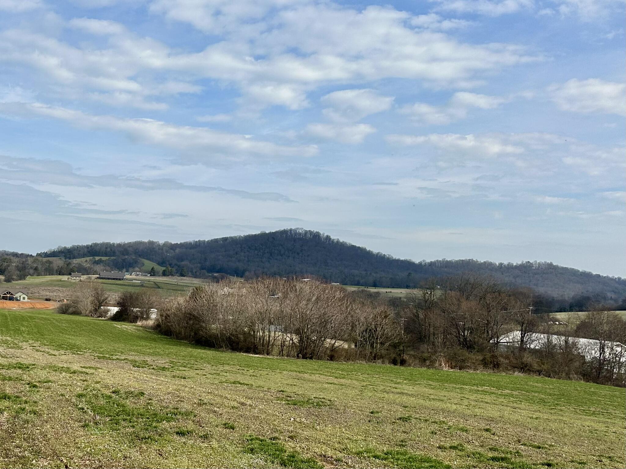 Lot 0 Seahorn Road Jefferson City, TN 37760 - Photo 26 of 27 IMG_1992