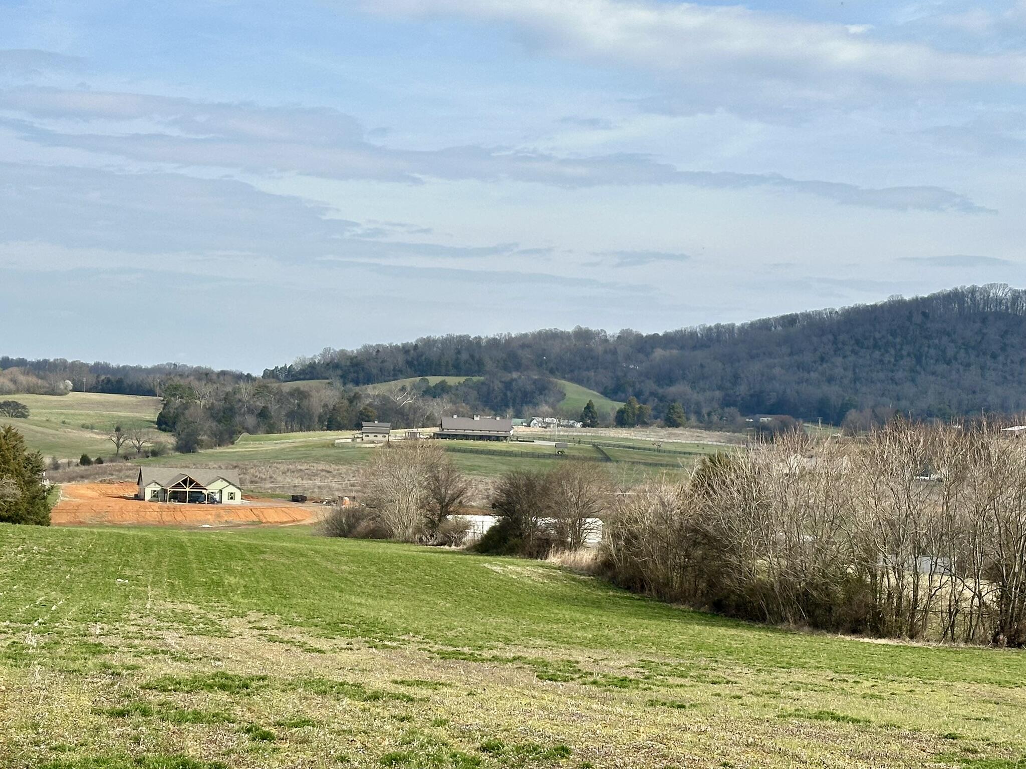 Lot 0 Seahorn Road Jefferson City, TN 37760 - Photo 27 of 27 IMG_1993