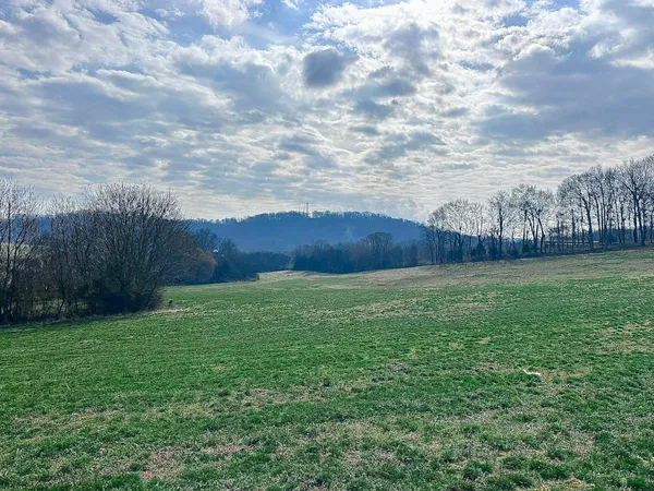 $525,000 | Lot 0 Seahorn Road, Jefferson City, TN 37760