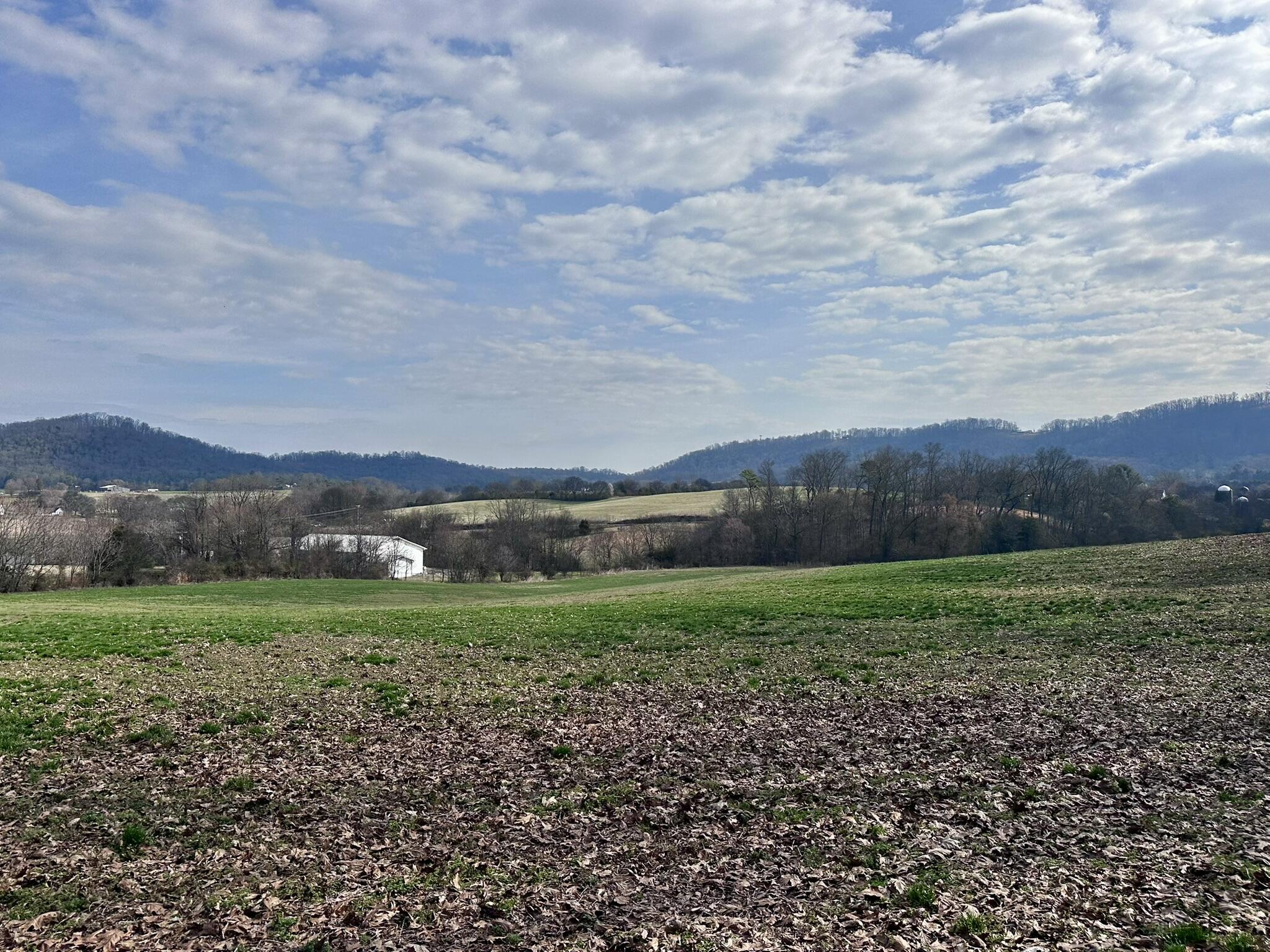 Lot 0 Seahorn Road Jefferson City, TN 37760 - Photo 4 of 27 IMG_1967