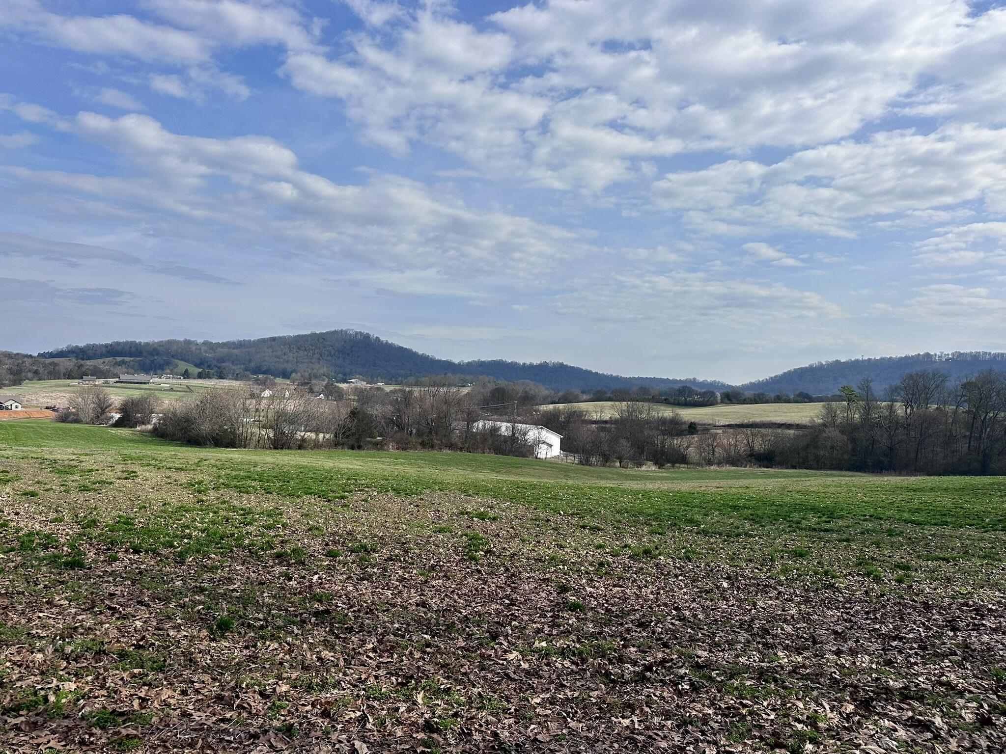 Lot 0 Seahorn Road Jefferson City, TN 37760 - Photo 5 of 27 IMG_1968