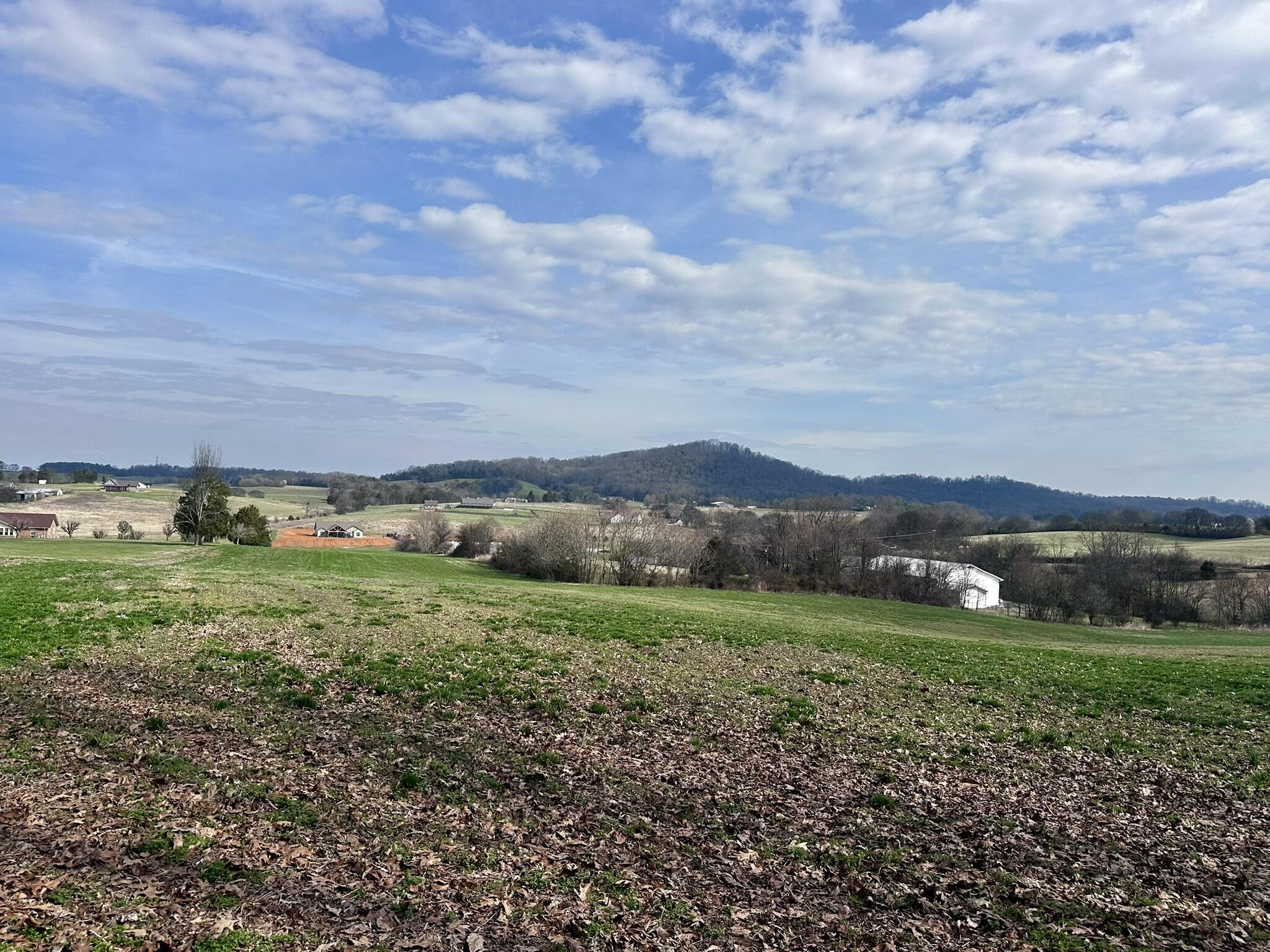 Lot 0 Seahorn Road Jefferson City, TN 37760 - Photo 6 of 27 IMG_1969