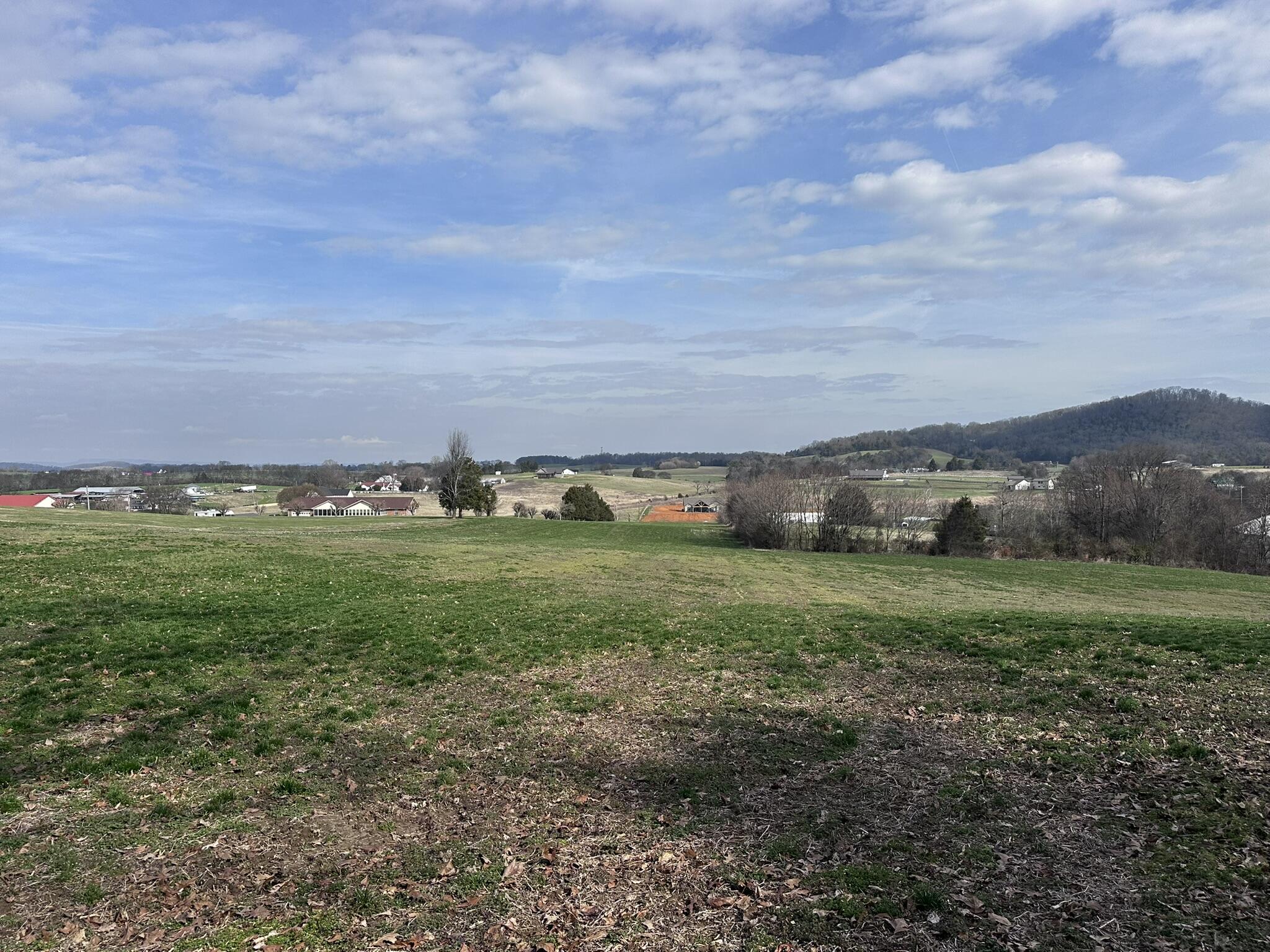 Lot 0 Seahorn Road Jefferson City, TN 37760 - Photo 9 of 27 IMG_1972