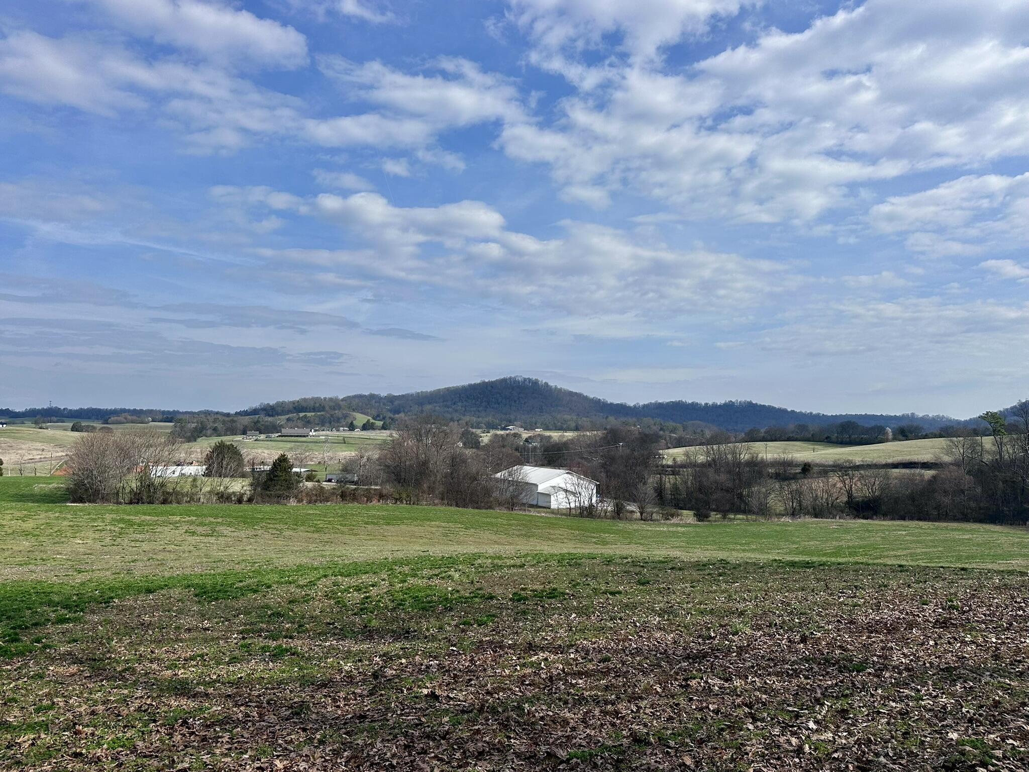 Lot 0 Seahorn Road Jefferson City, TN 37760 - Photo 10 of 27 IMG_1973