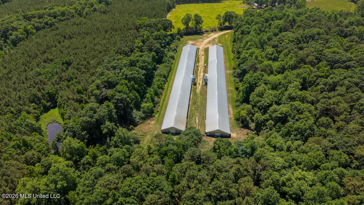 Smithtown Chicora Road State Line, MS 39362 - Photo 37 of 38 867E05A1-DDE2-4570-92BC-030D4F0F1F83_1_1
