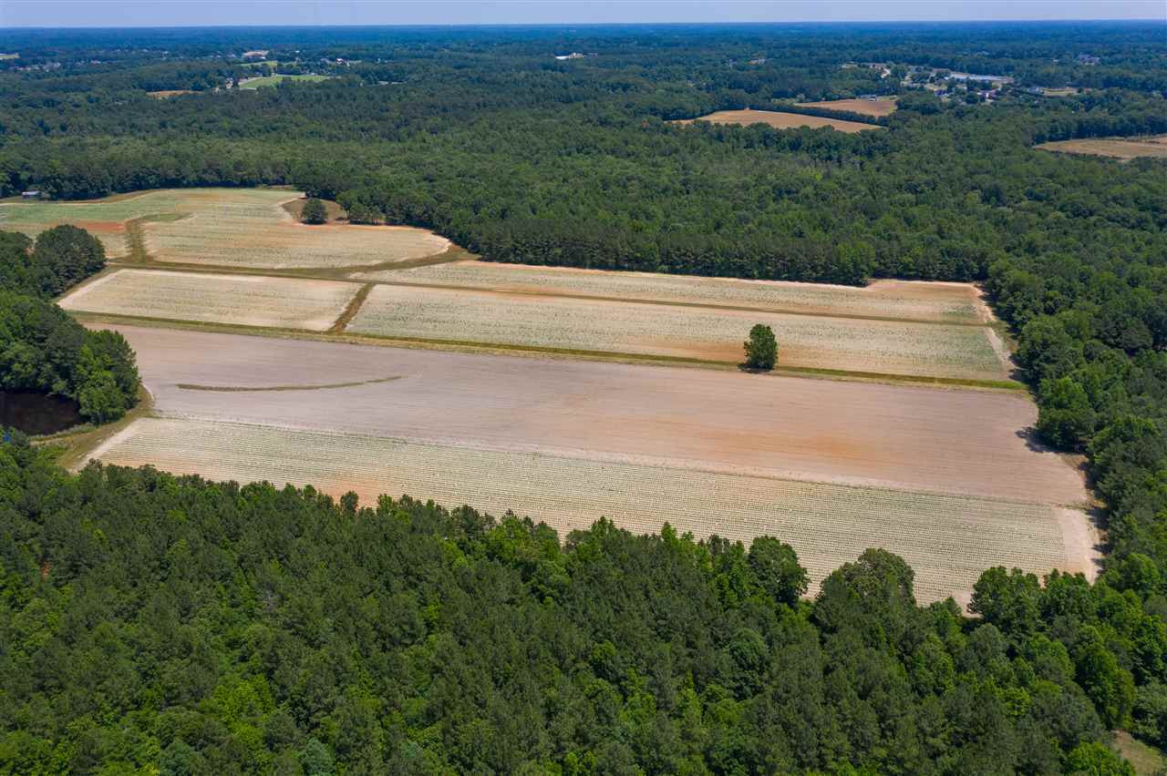 Jackson King Road Willow Spring, NC 27592 - Photo 12 of 18 Photo 12