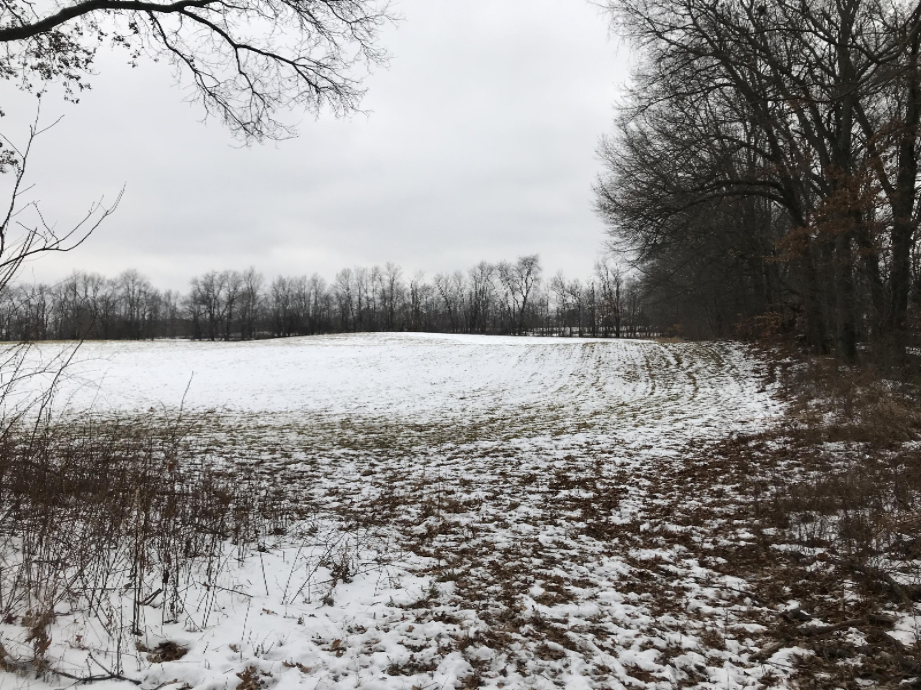 Hopcraft Road Onondaga, MI 49264 - Photo 11 of 76 11 West View