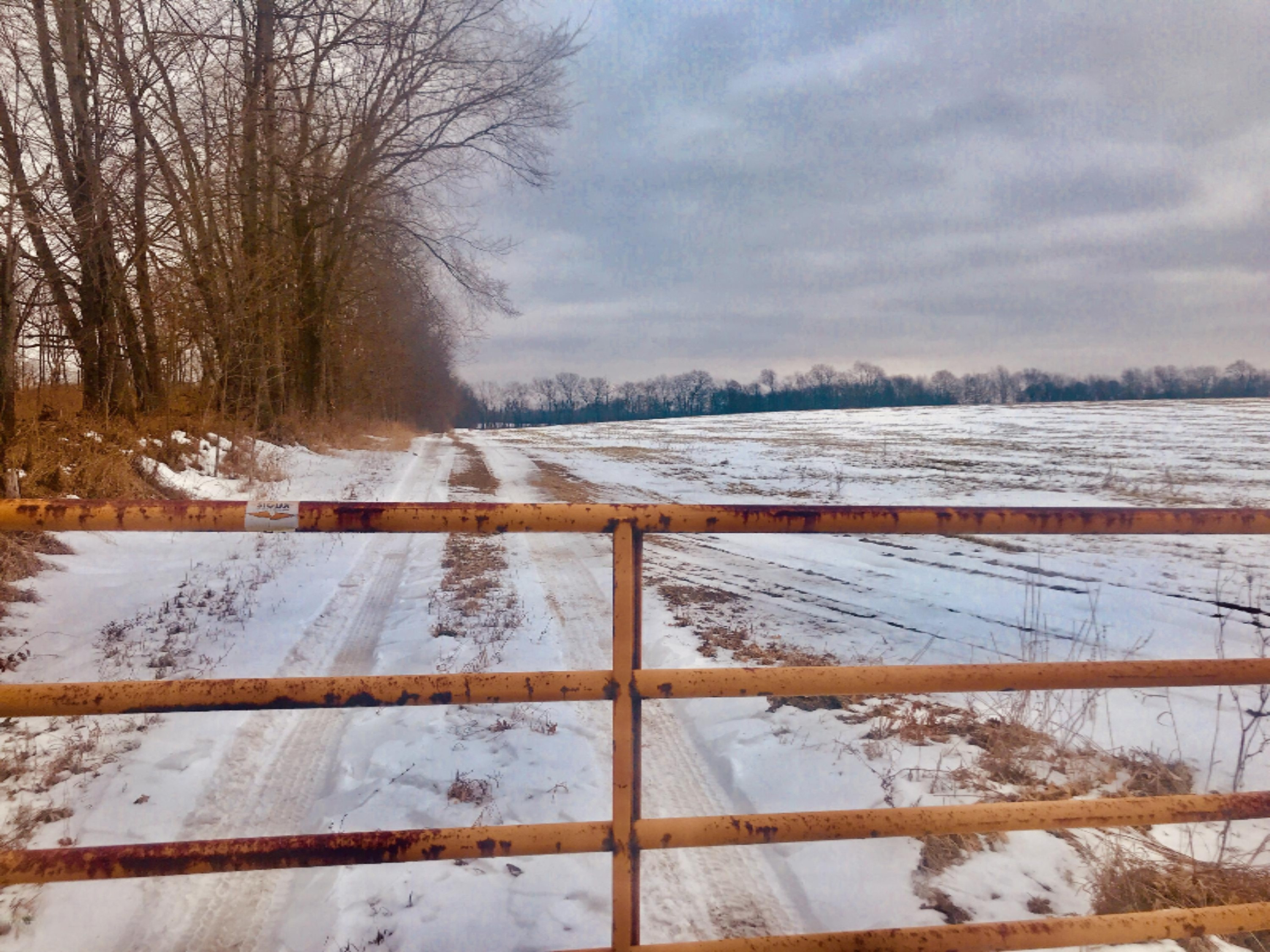 Hopcraft Road Onondaga, MI 49264 - Photo 20 of 76 20 Access Gate