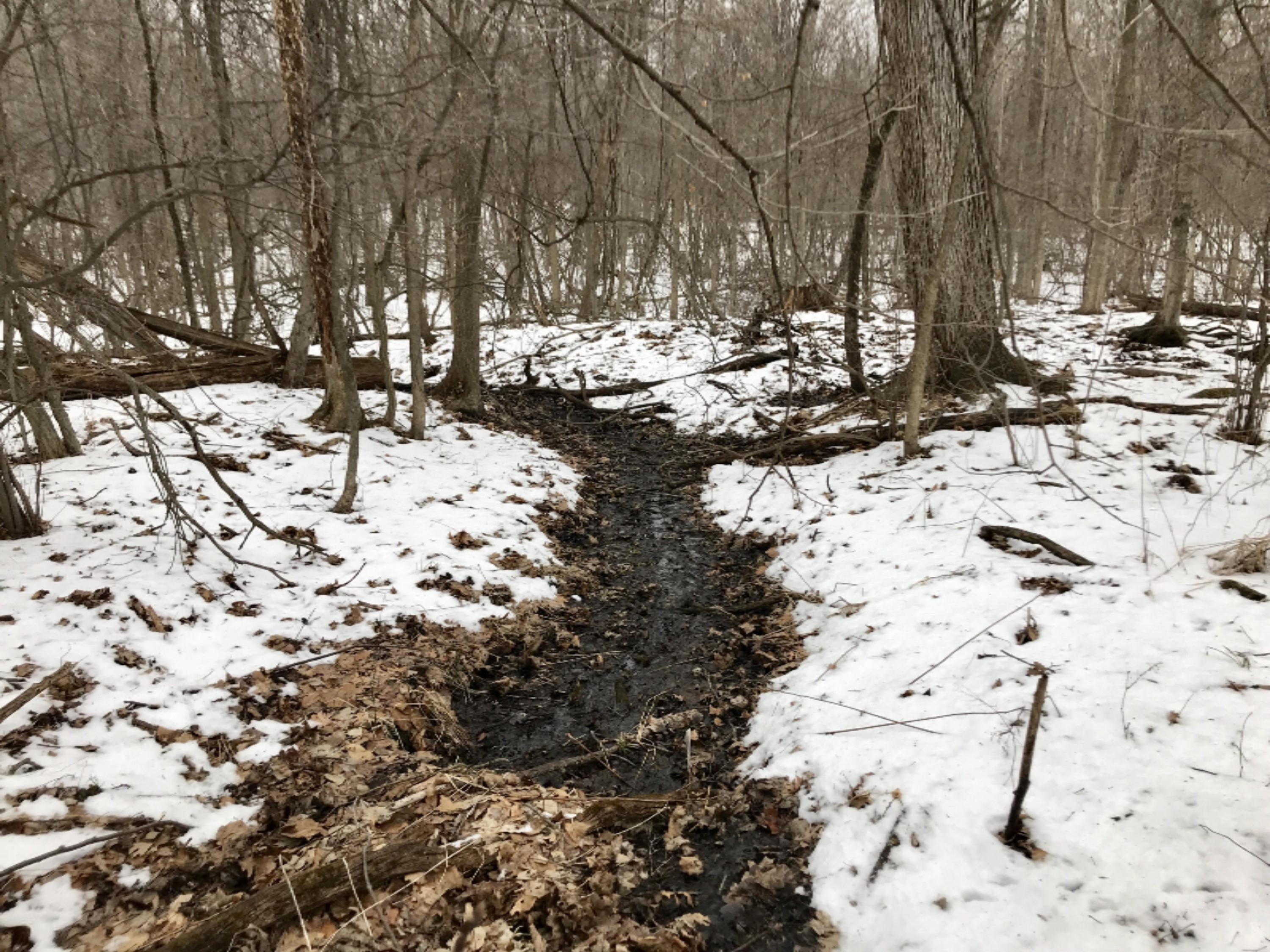 Hopcraft Road Onondaga, MI 49264 - Photo 22 of 76 22 Creek