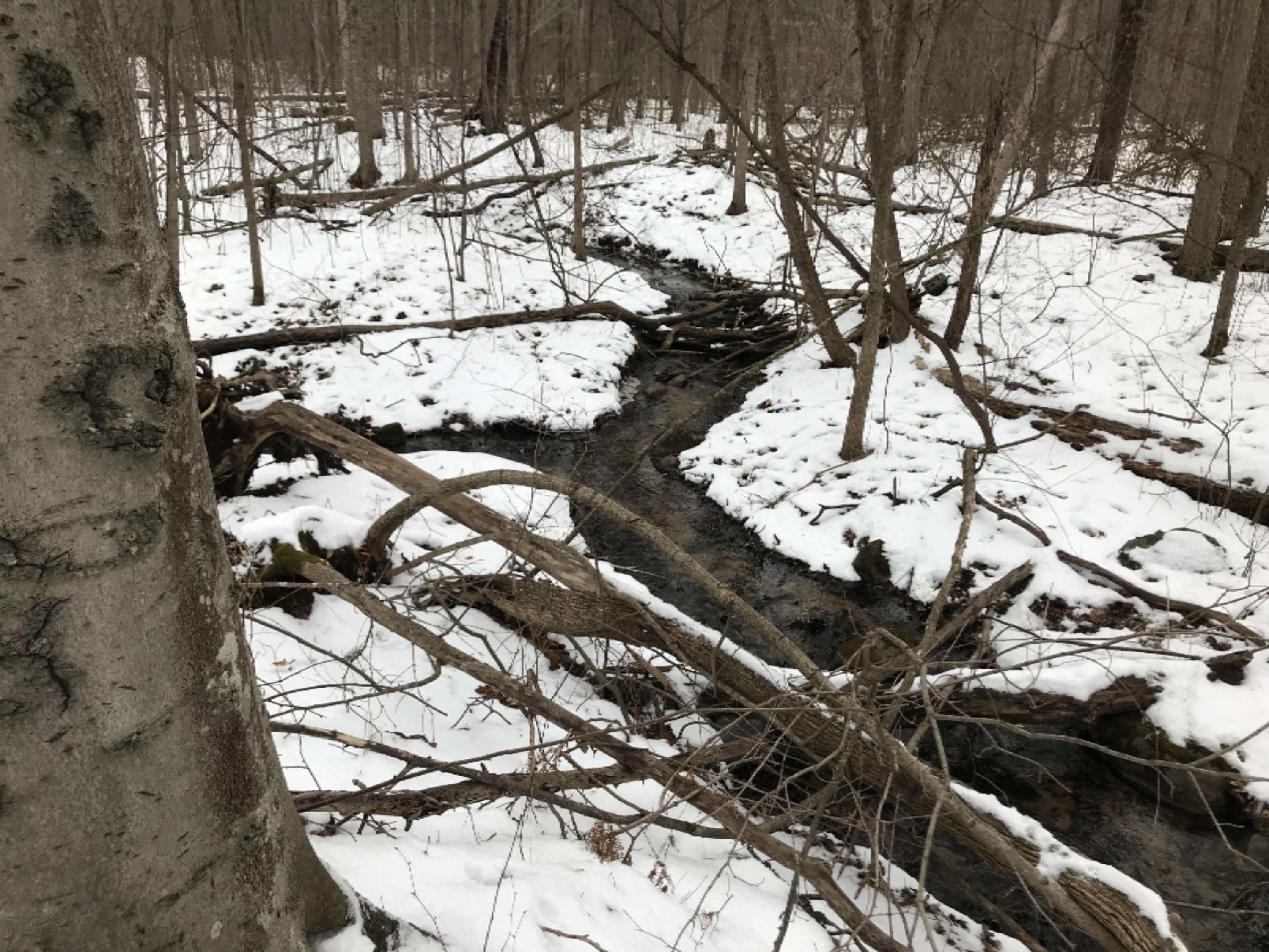 Hopcraft Road Onondaga, MI 49264 - Photo 26 of 76 26 Creek