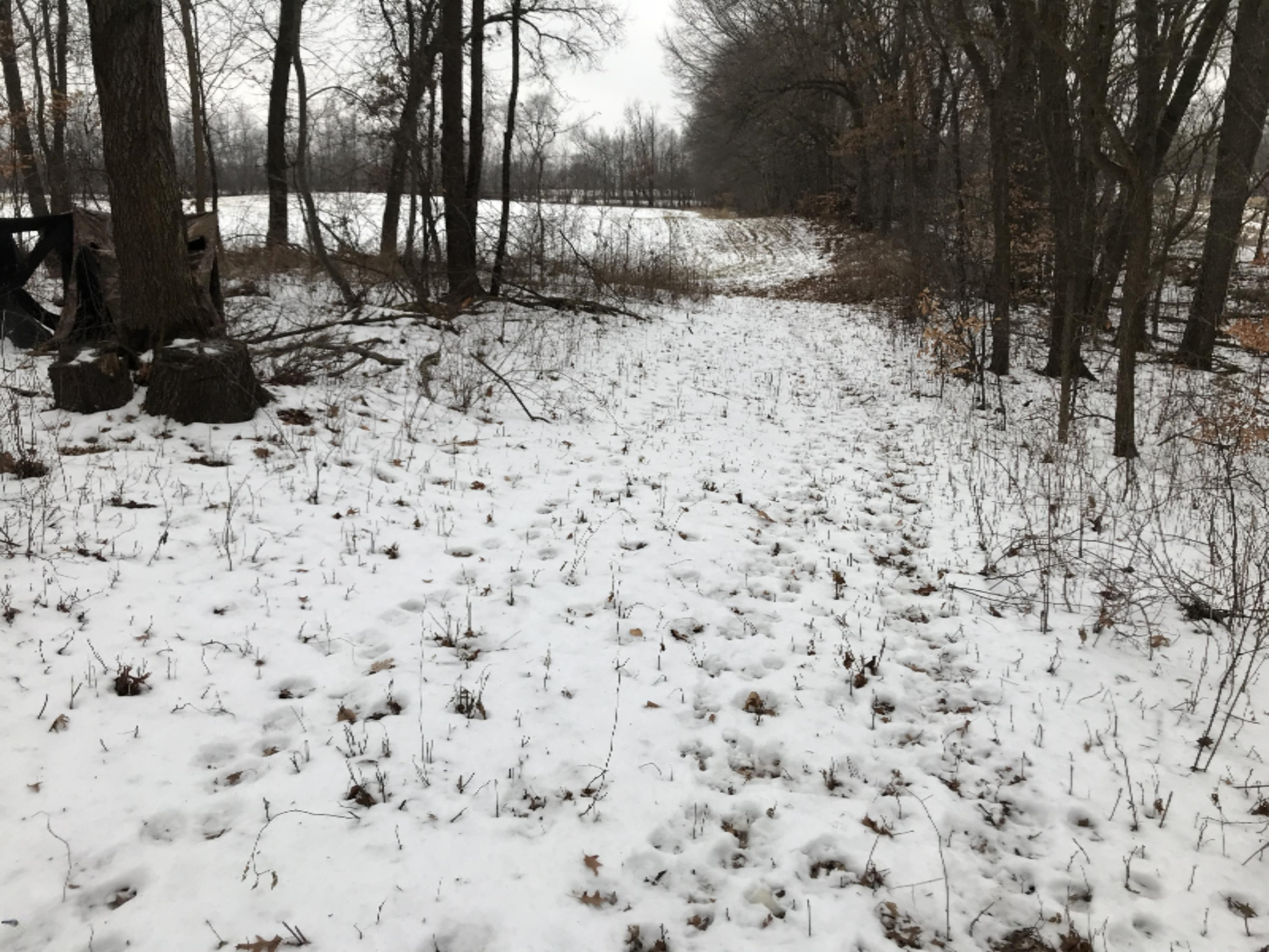 Hopcraft Road Onondaga, MI 49264 - Photo 49 of 76 49 Tracks Northwest