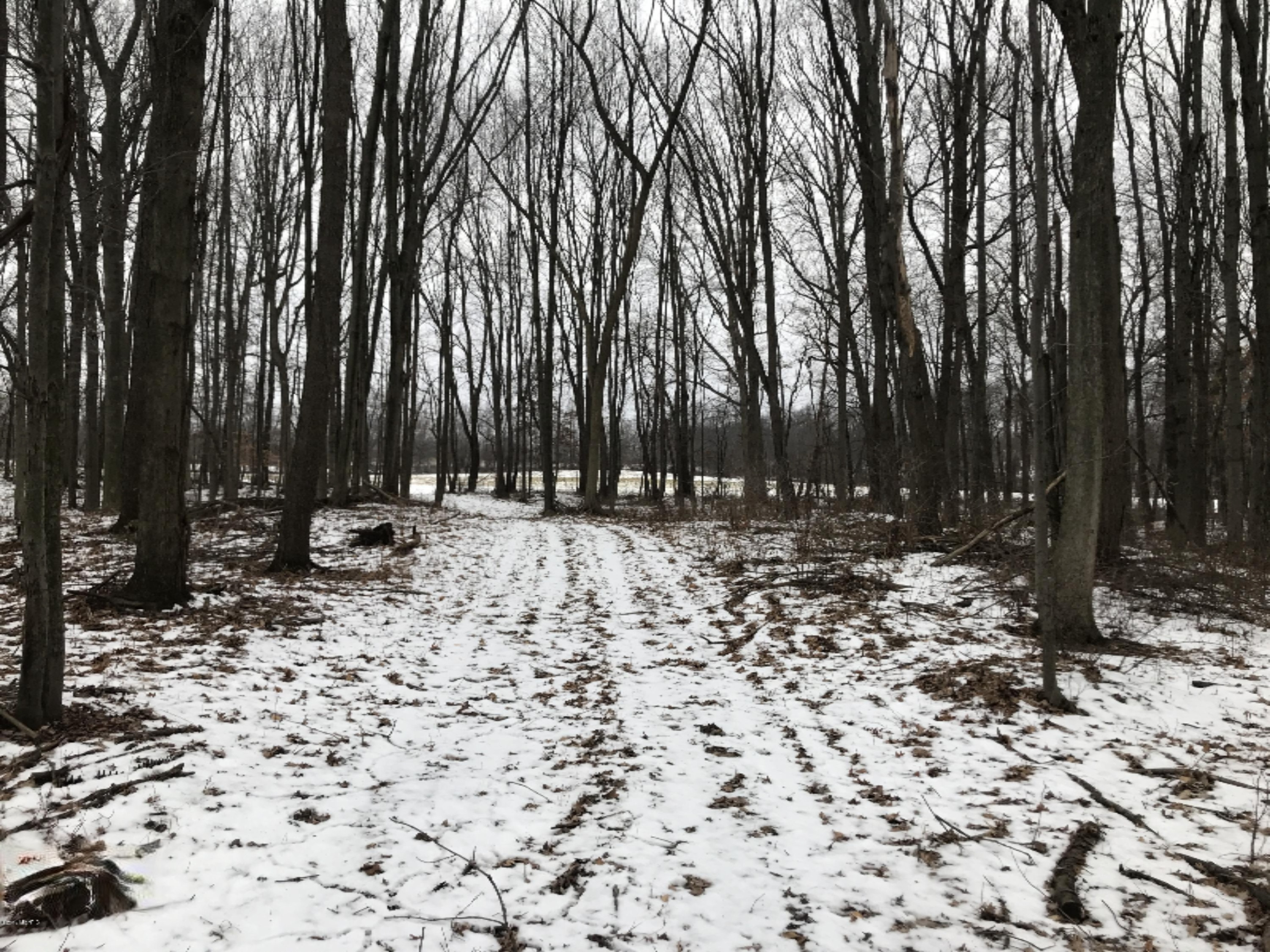 Hopcraft Road Onondaga, MI 49264 - Photo 5 of 76 5 Trail
