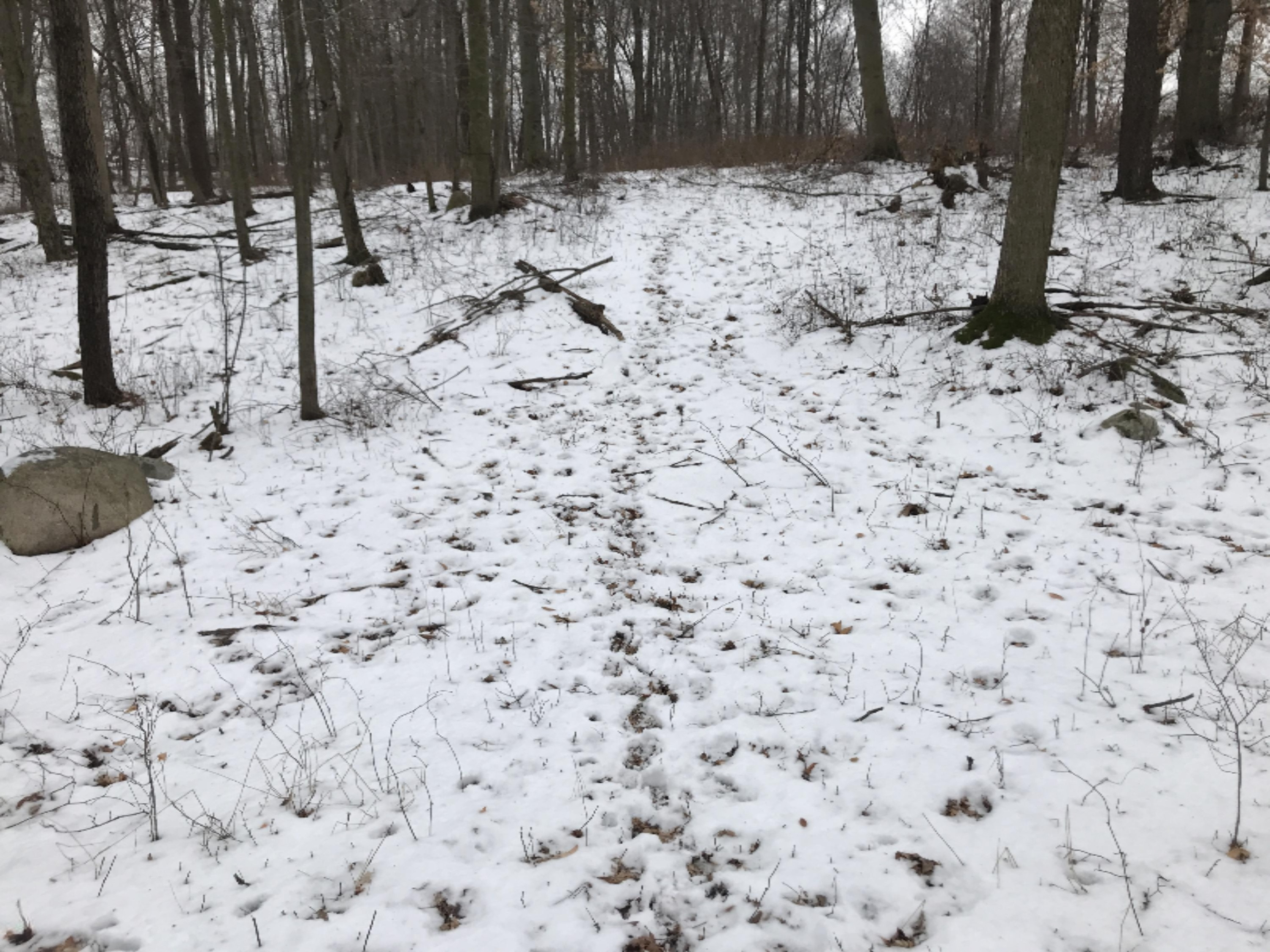 Hopcraft Road Onondaga, MI 49264 - Photo 65 of 76 64 Trail