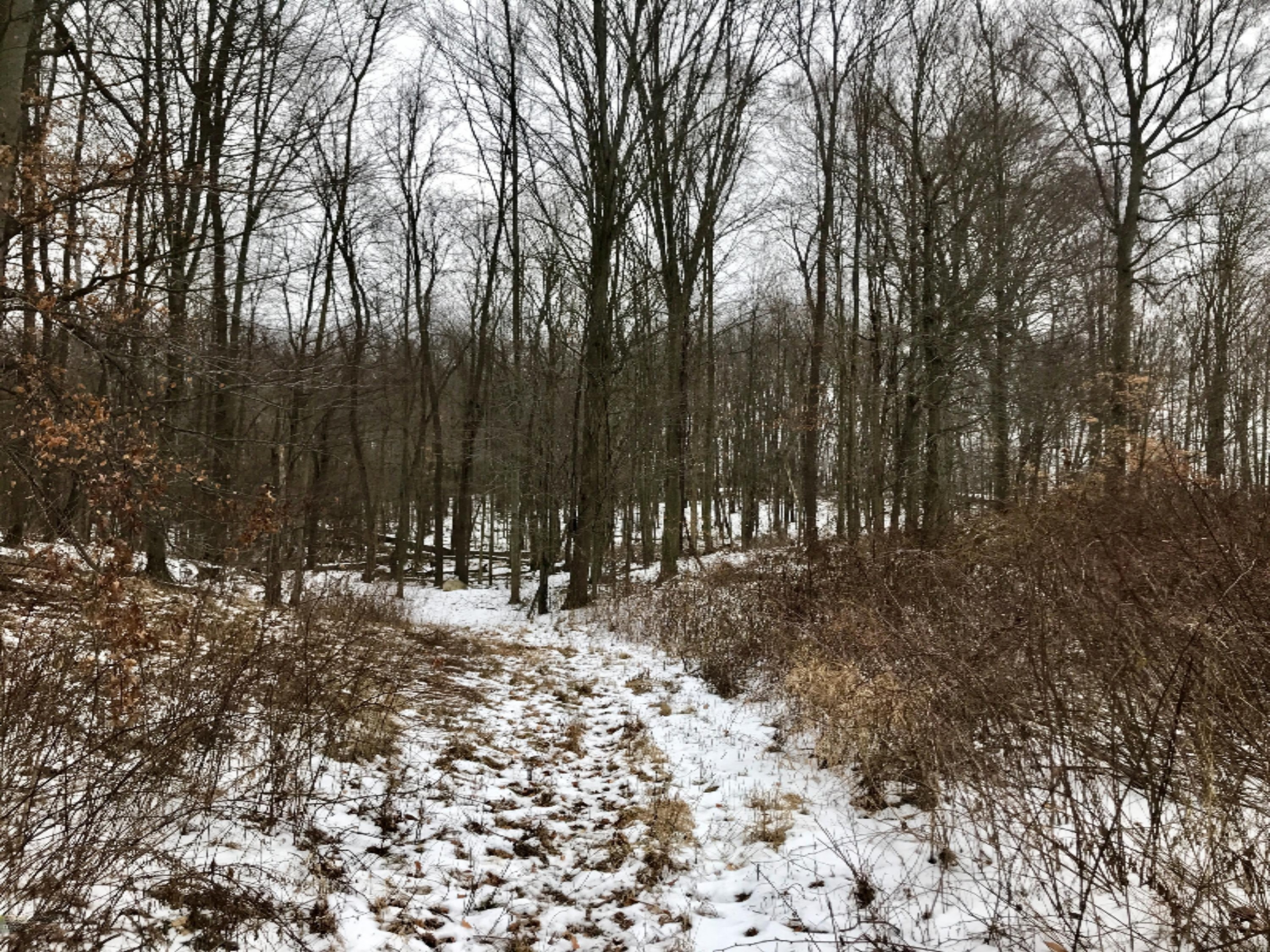 Hopcraft Road Onondaga, MI 49264 - Photo 68 of 76 67 Trail