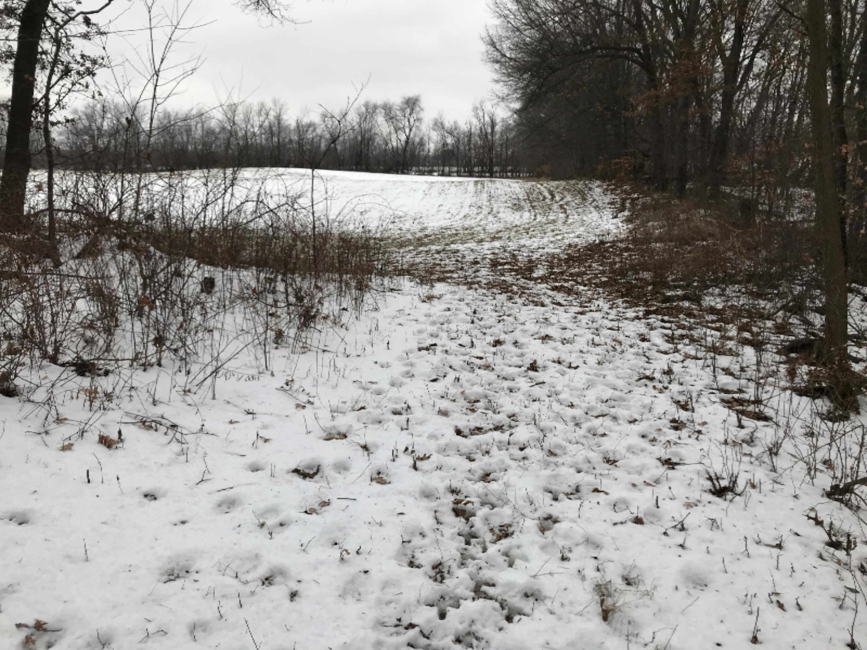 Hopcraft Road Onondaga, MI 49264 - Photo 71 of 76 70 Turkey Tracks