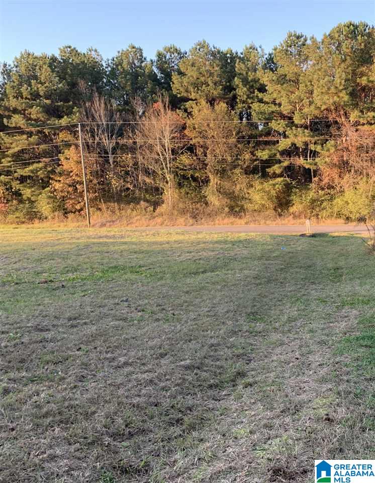 4280 Ellen Mann Road Dora, AL 35062 - Photo 8 of 12