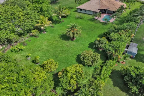 a view of a garden with a bench in a garden