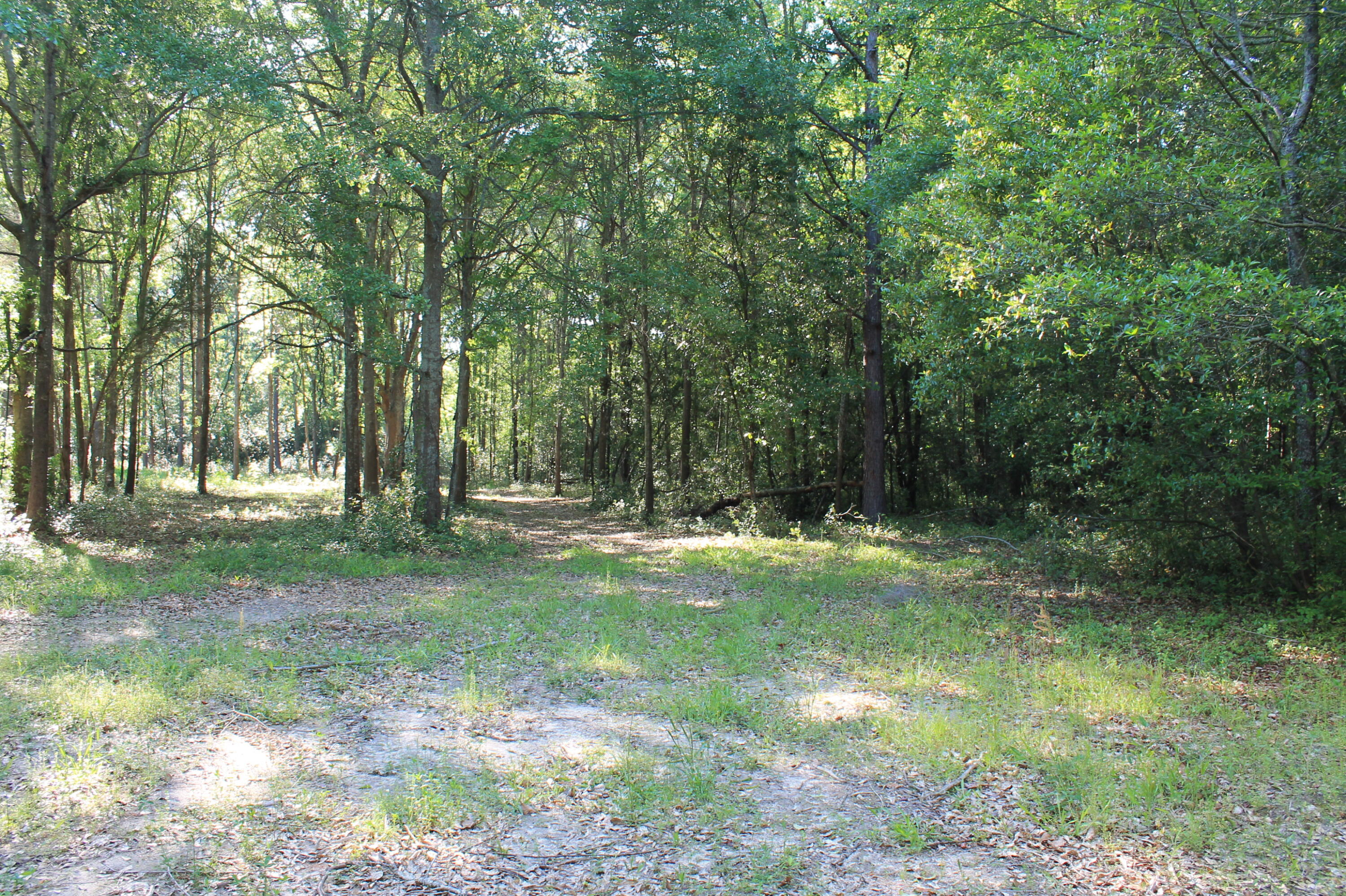 1214 Toolebeck Road Aiken, SC 29803 - Photo 5 of 17