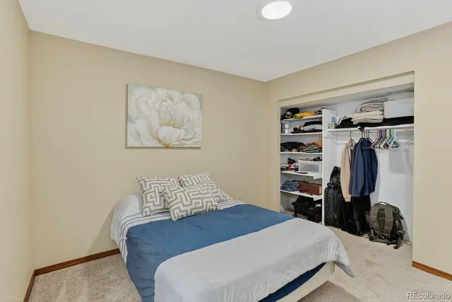 a bedroom with a bed and a closet