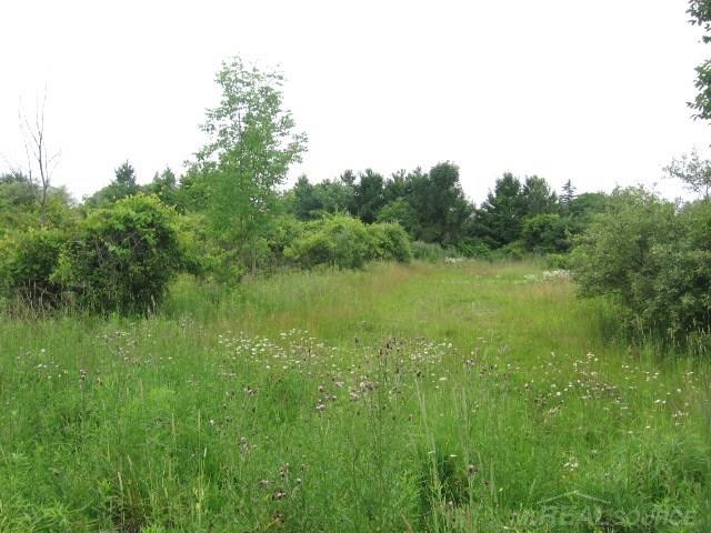 Tbd Sheridan Line Lexington, MI 48450 - Photo 5 of 14