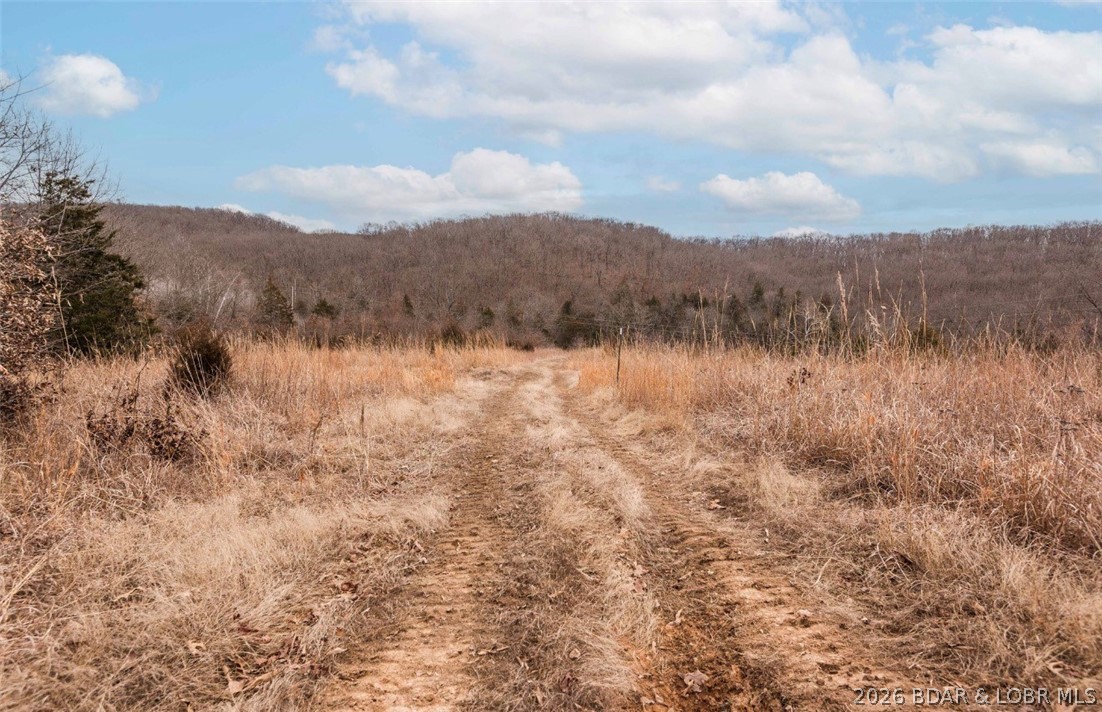 21657 Sawmill Road Versailles, MO 65084 - Photo 17 of 69