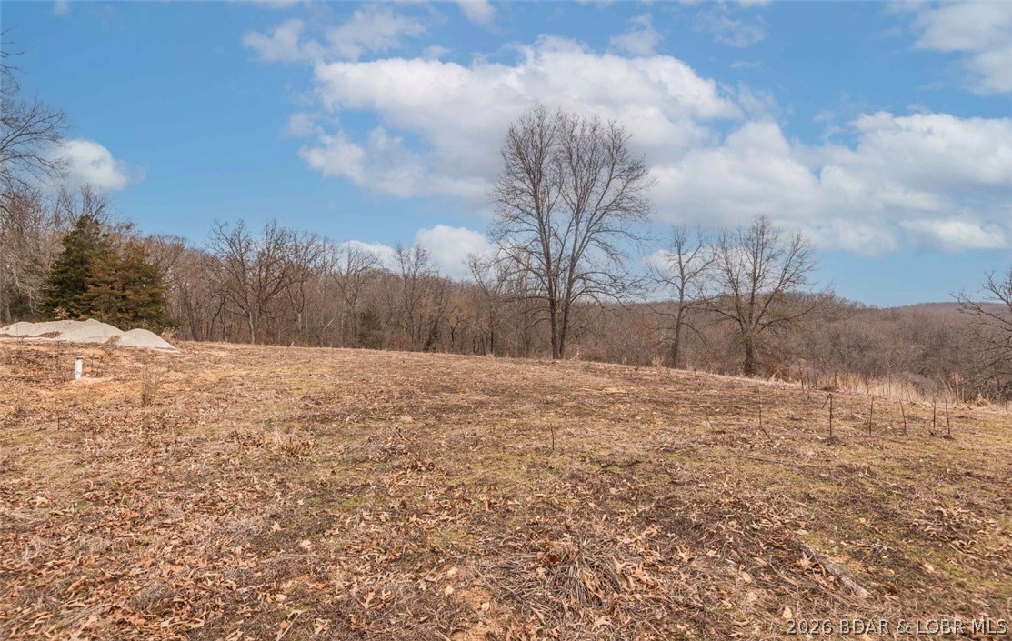 21657 Sawmill Road Versailles, MO 65084 - Photo 18 of 69