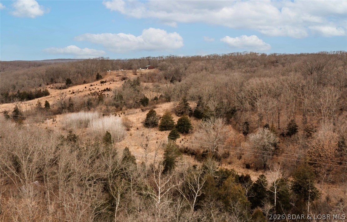 21657 Sawmill Road Versailles, MO 65084 - Photo 46 of 69