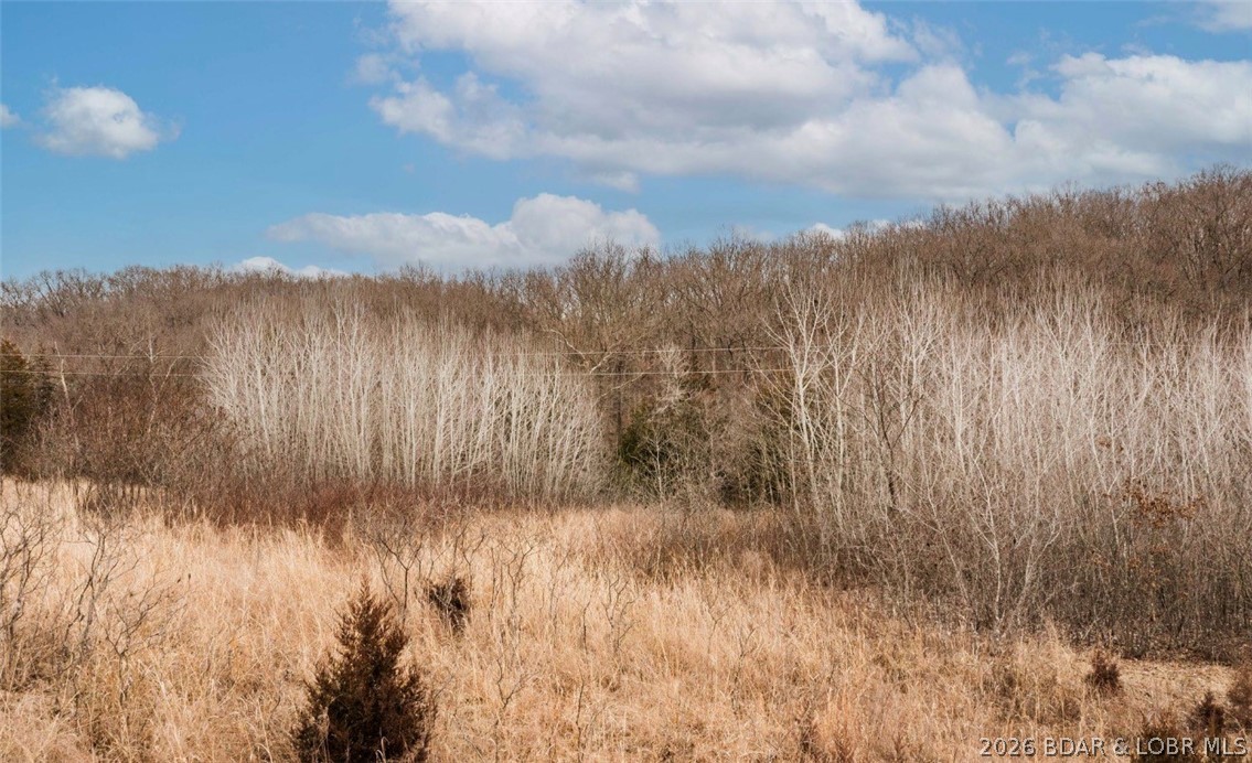 21657 Sawmill Road Versailles, MO 65084 - Photo 54 of 69