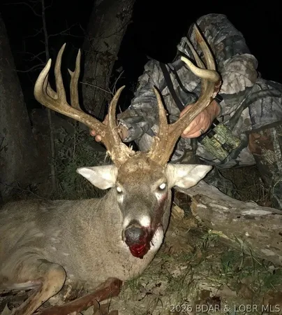 $1,099,900 | 21657 Sawmill Road, Versailles, MO 65084