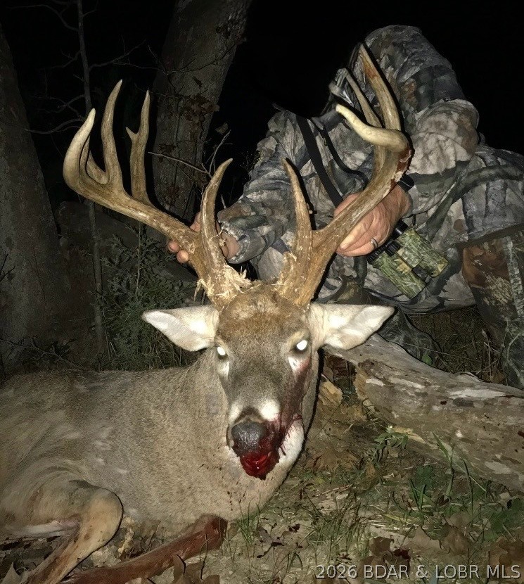 21657 Sawmill Road Versailles, MO 65084 - Photo 56 of 69