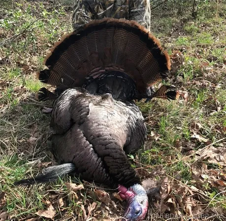 $1,099,900 | 21657 Sawmill Road, Versailles, MO 65084