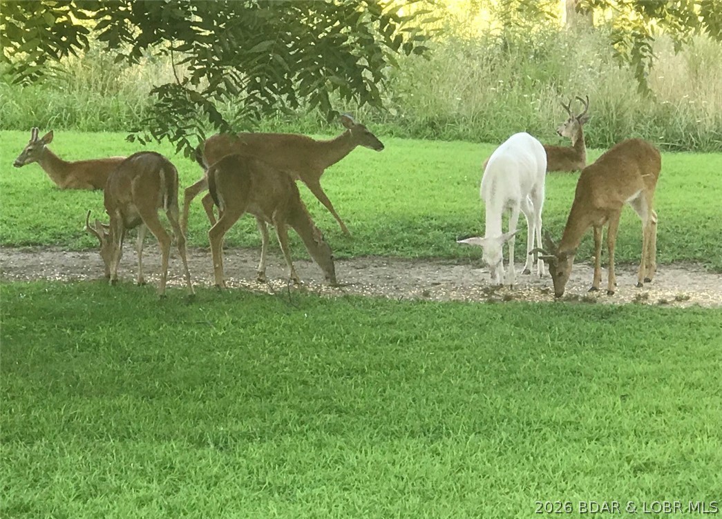 21657 Sawmill Road Versailles, MO 65084 - Photo 60 of 69