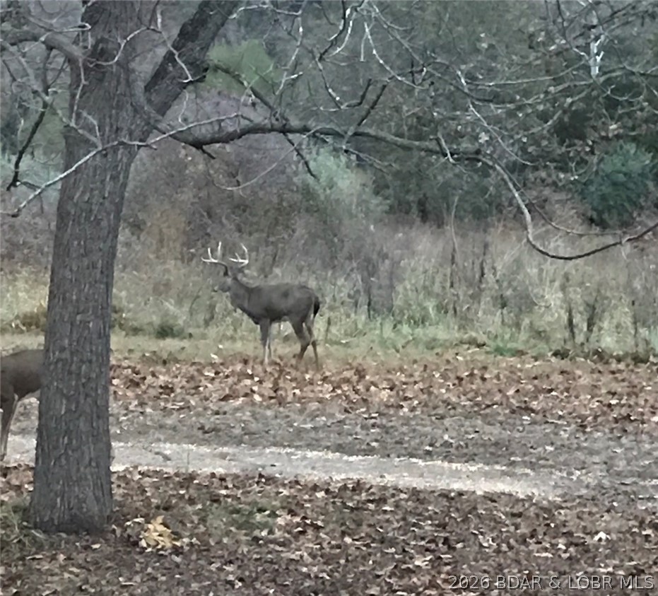 21657 Sawmill Road Versailles, MO 65084 - Photo 61 of 69