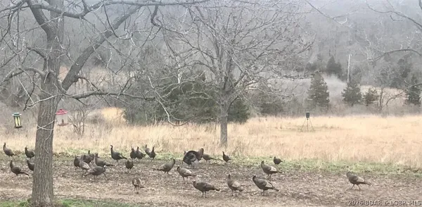 $1,099,900 | 21657 Sawmill Road, Versailles, MO 65084