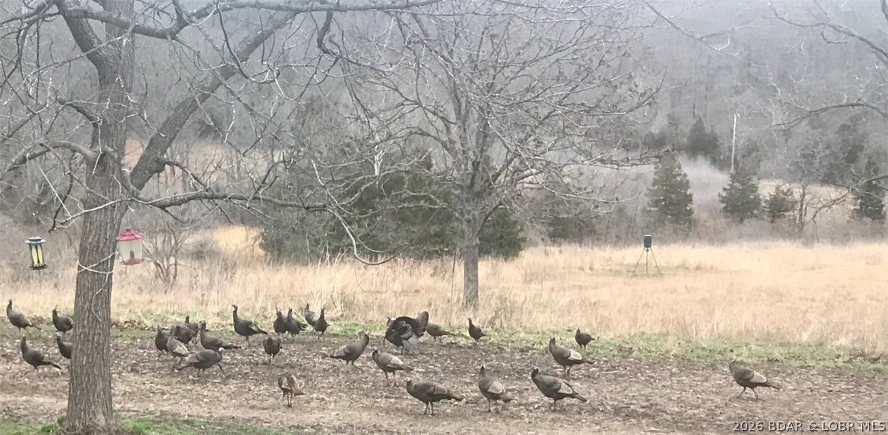 21657 Sawmill Road Versailles, MO 65084 - Photo 62 of 69