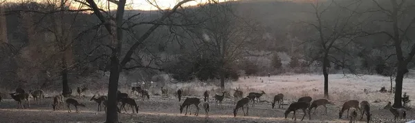 $1,099,900 | 21657 Sawmill Road, Versailles, MO 65084