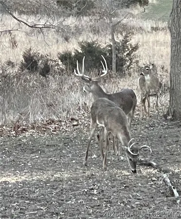 $1,099,900 | 21657 Sawmill Road, Versailles, MO 65084