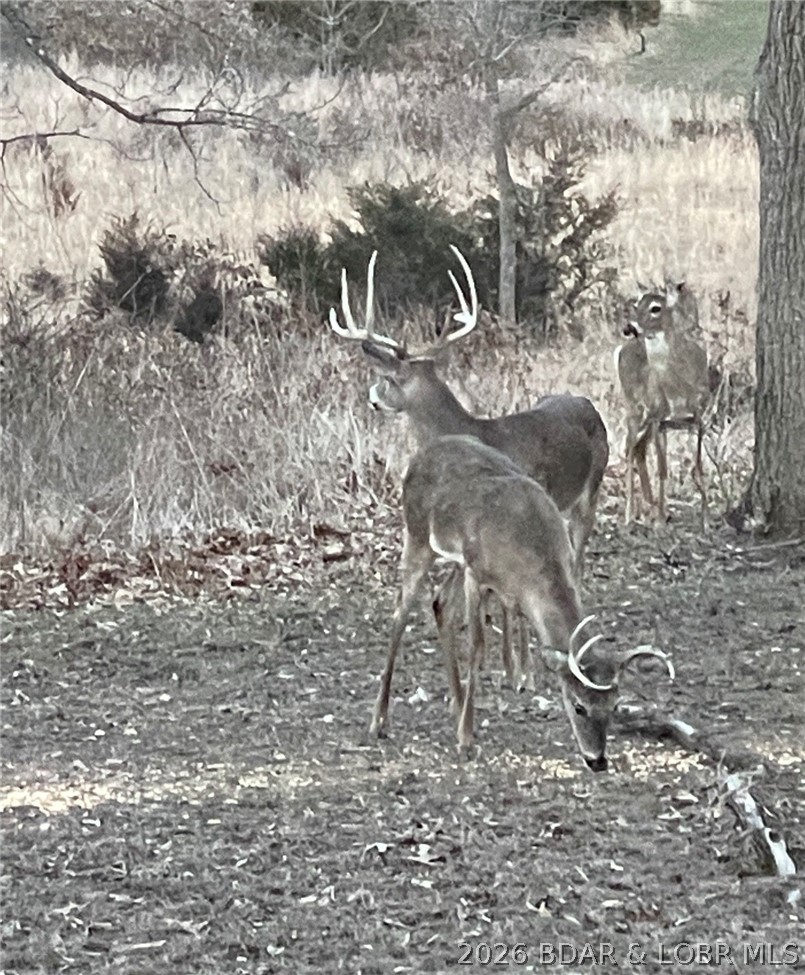 21657 Sawmill Road Versailles, MO 65084 - Photo 68 of 69