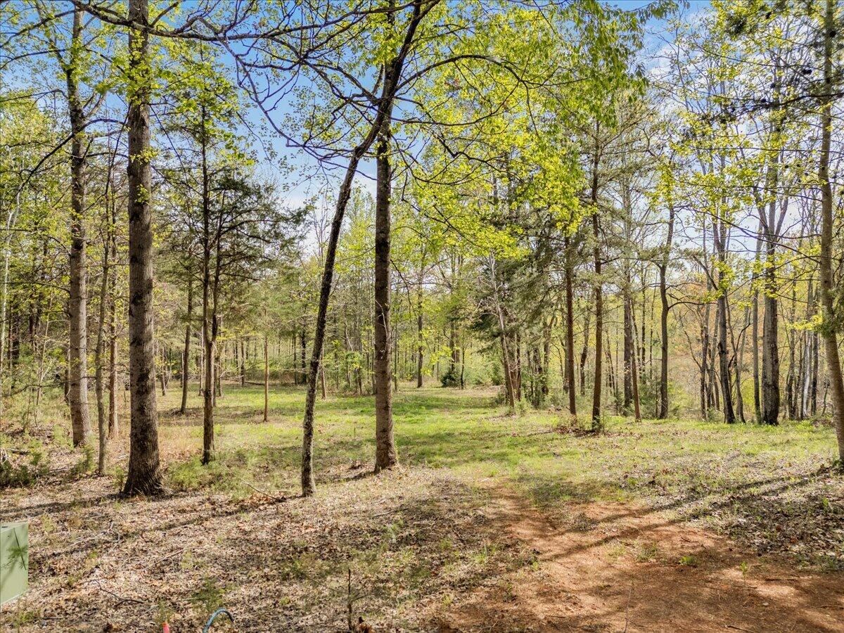 Lot 1 Lakestone Road Union Hall, VA 24176 - Photo 17 of 24 a backyard of a building with trees