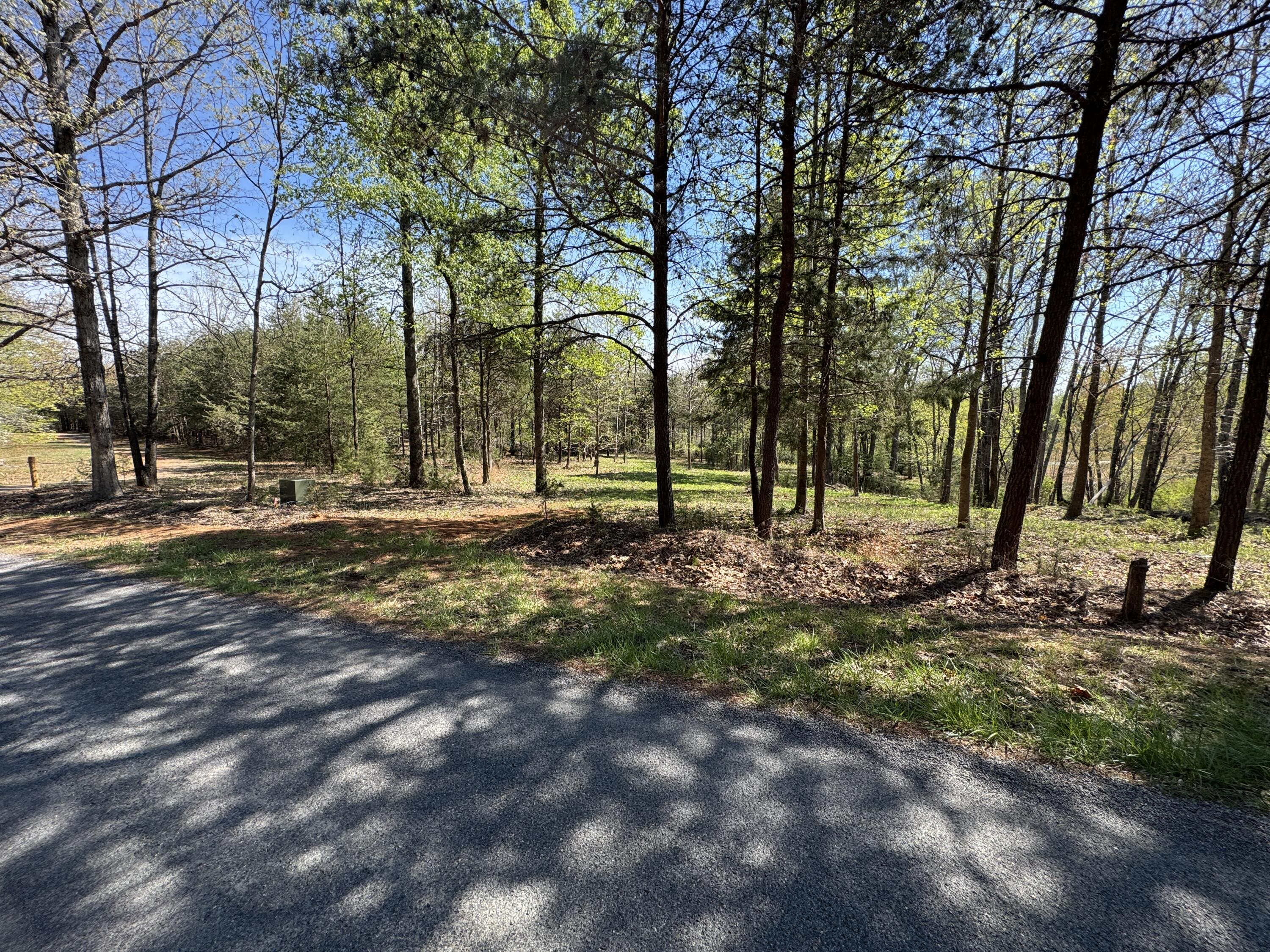 Lot 1 Lakestone Road Union Hall, VA 24176 - Photo 20 of 24 a view of park space